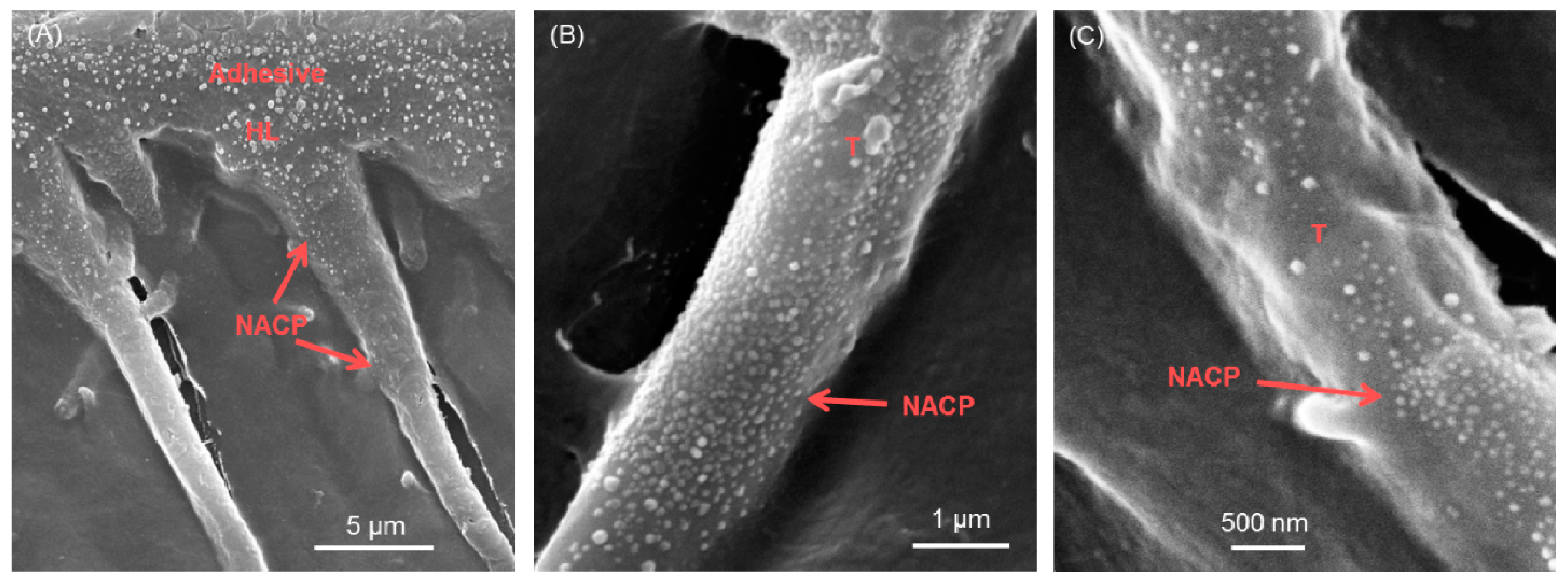 Materials 13 01096 g003 Materials 13 01096 g003