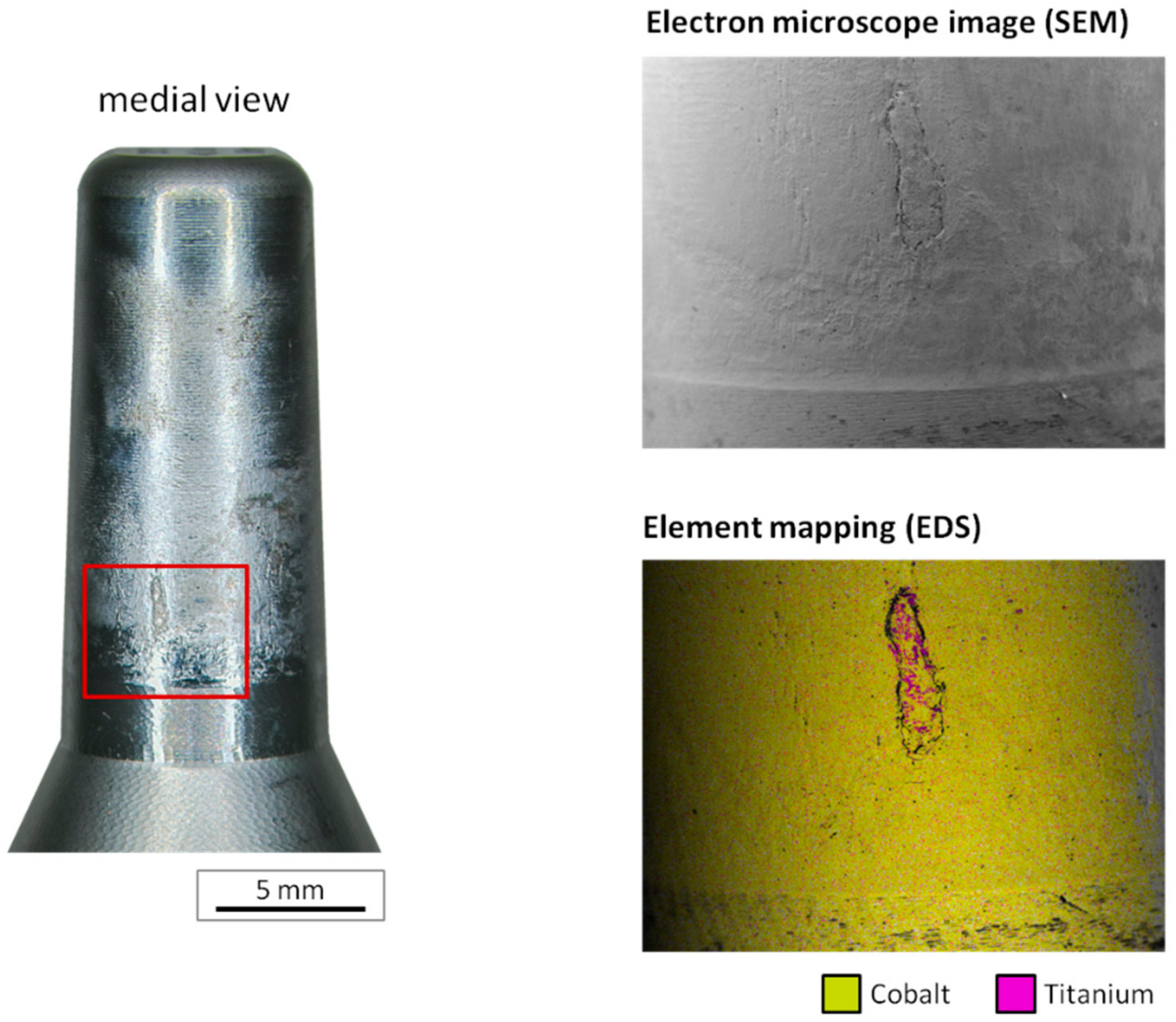 Materials 13 01098 g003