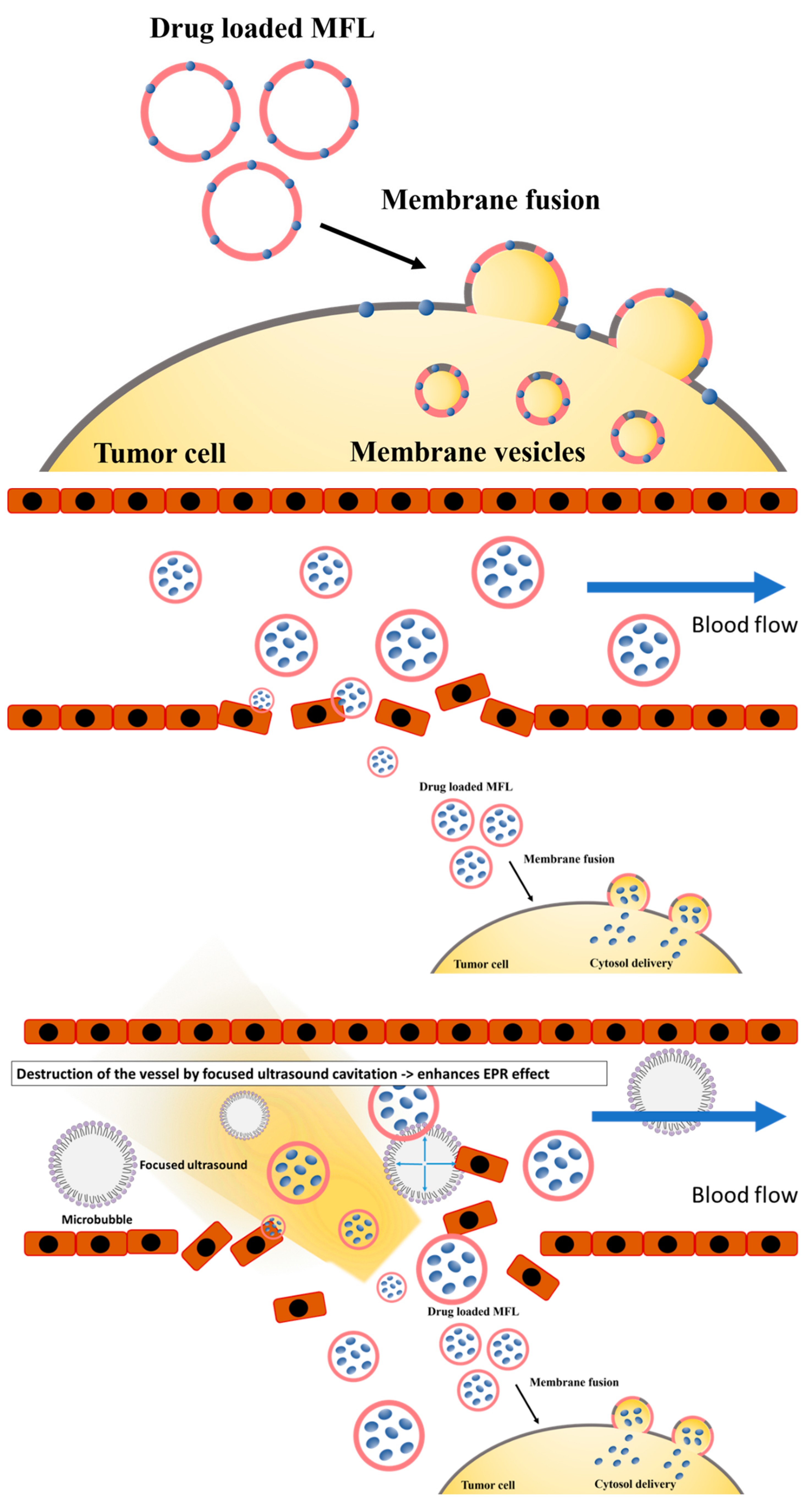 Materials 13 01099 g001 Materials 13 01099 g001