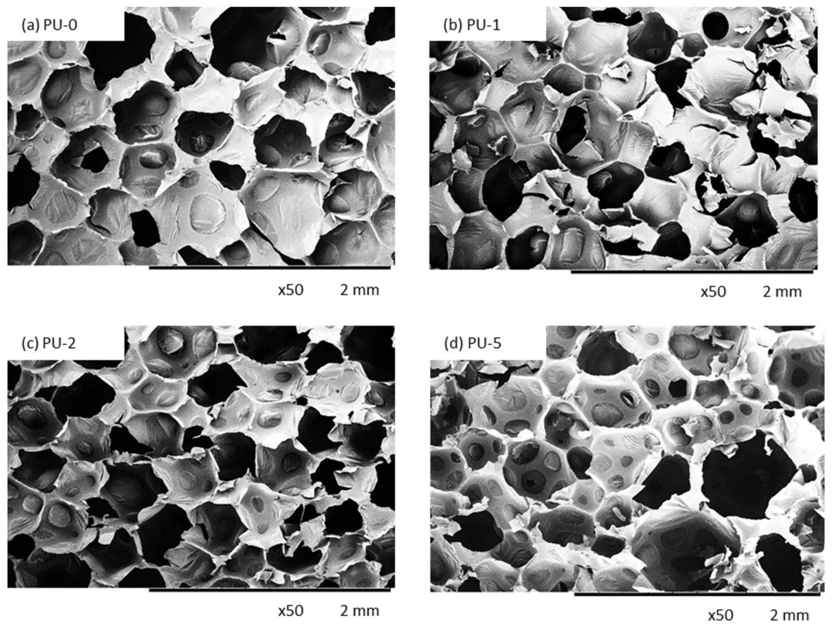 Materials 13 01108 g006 Materials 13 01108 g006
