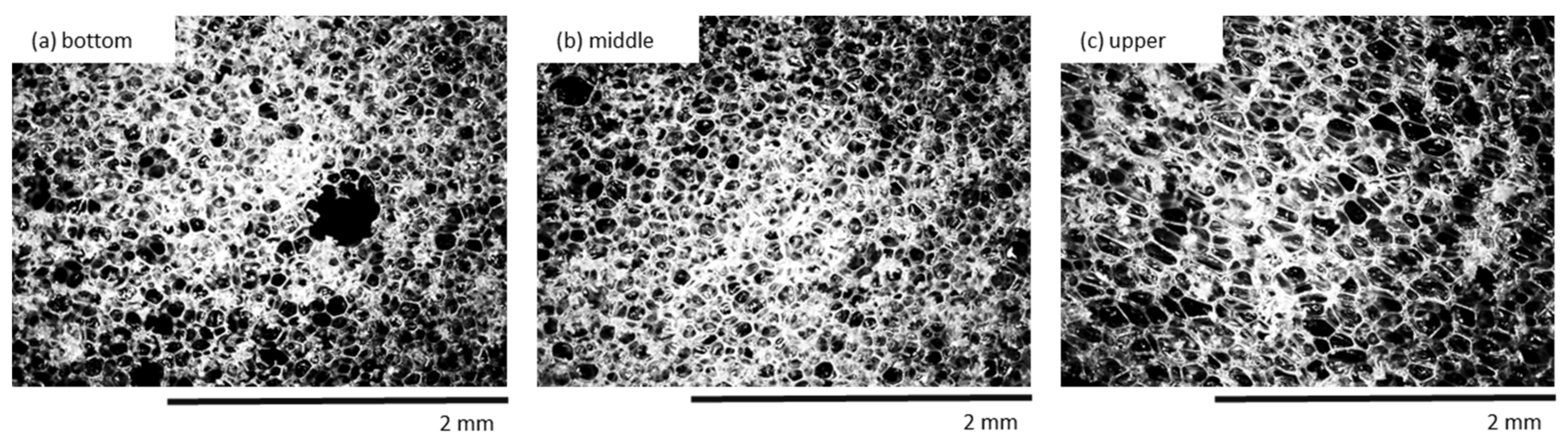 Materials 13 01108 g009 Materials 13 01108 g009