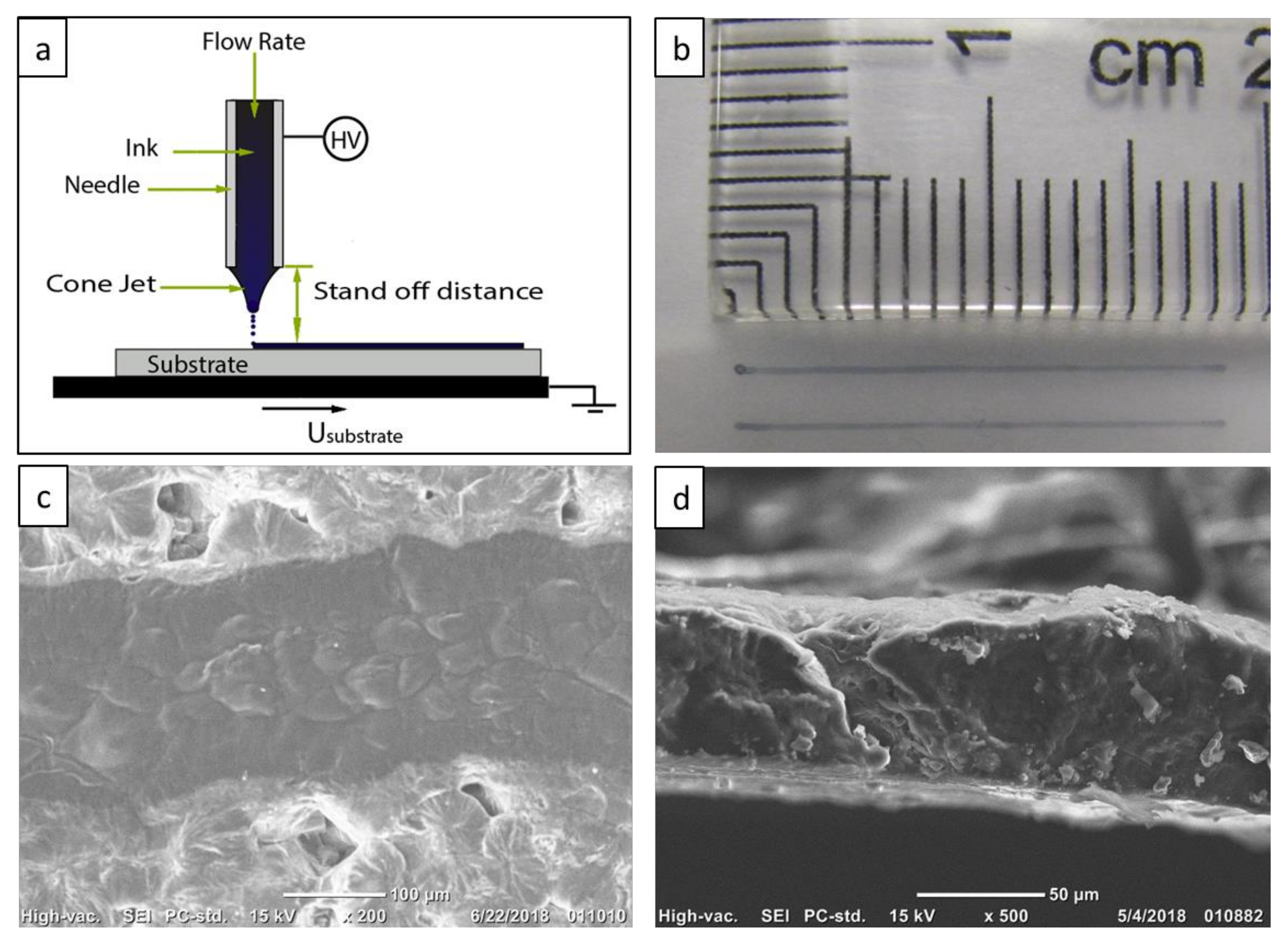 Materials 13 01112 g001 Materials 13 01112 g001