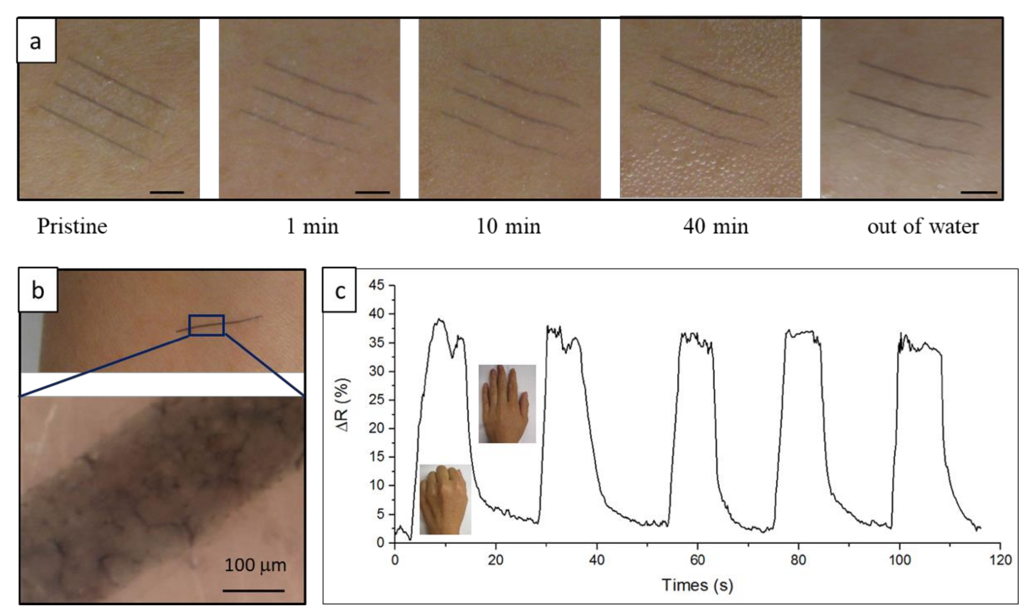 Materials 13 01112 g005 Materials 13 01112 g005