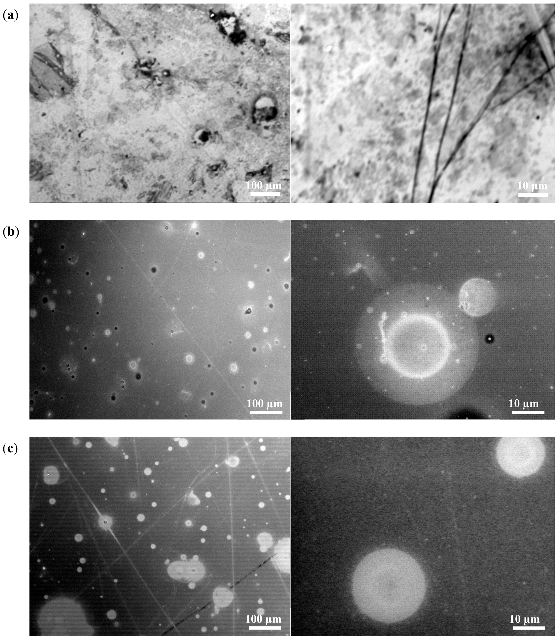 Materials 13 01140 g008a Materials 13 01140 g008a