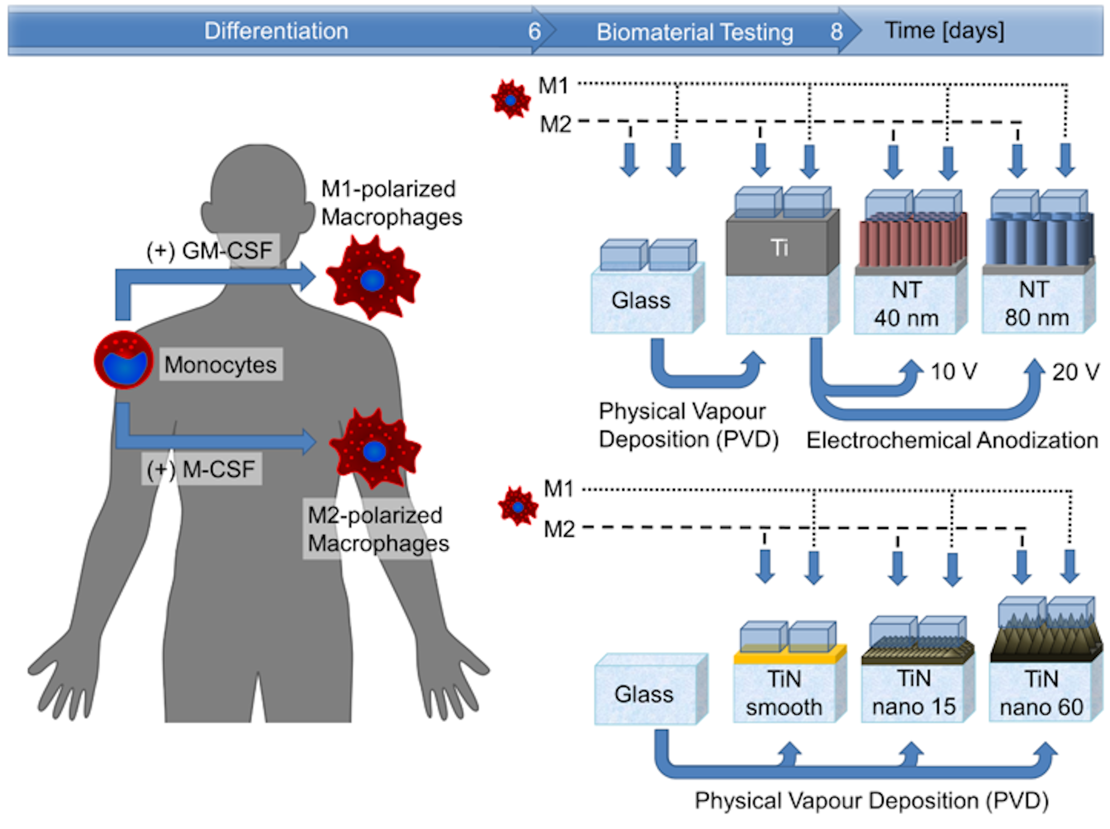 Materials 13 01142 g001