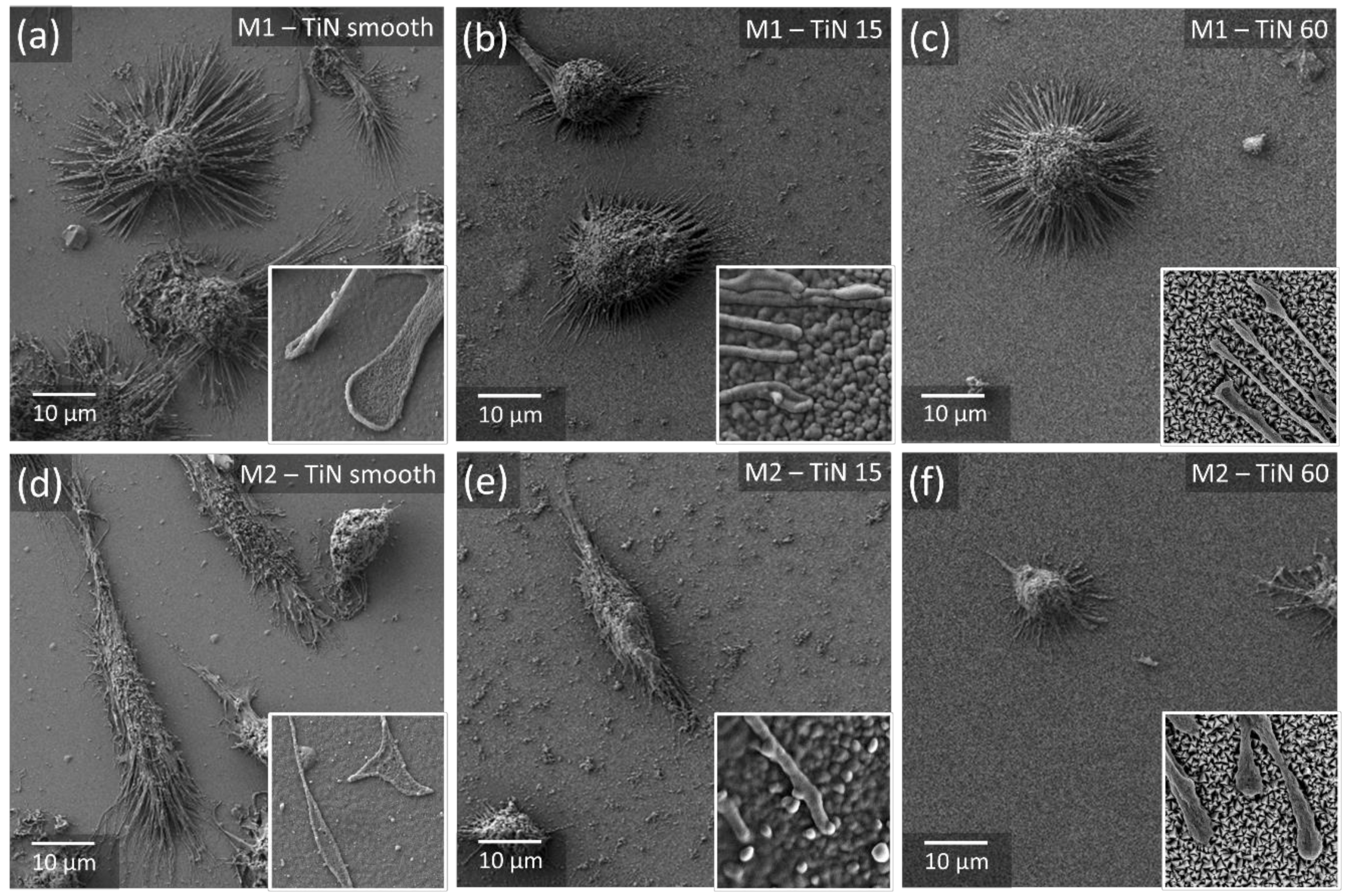 Materials 13 01142 g006