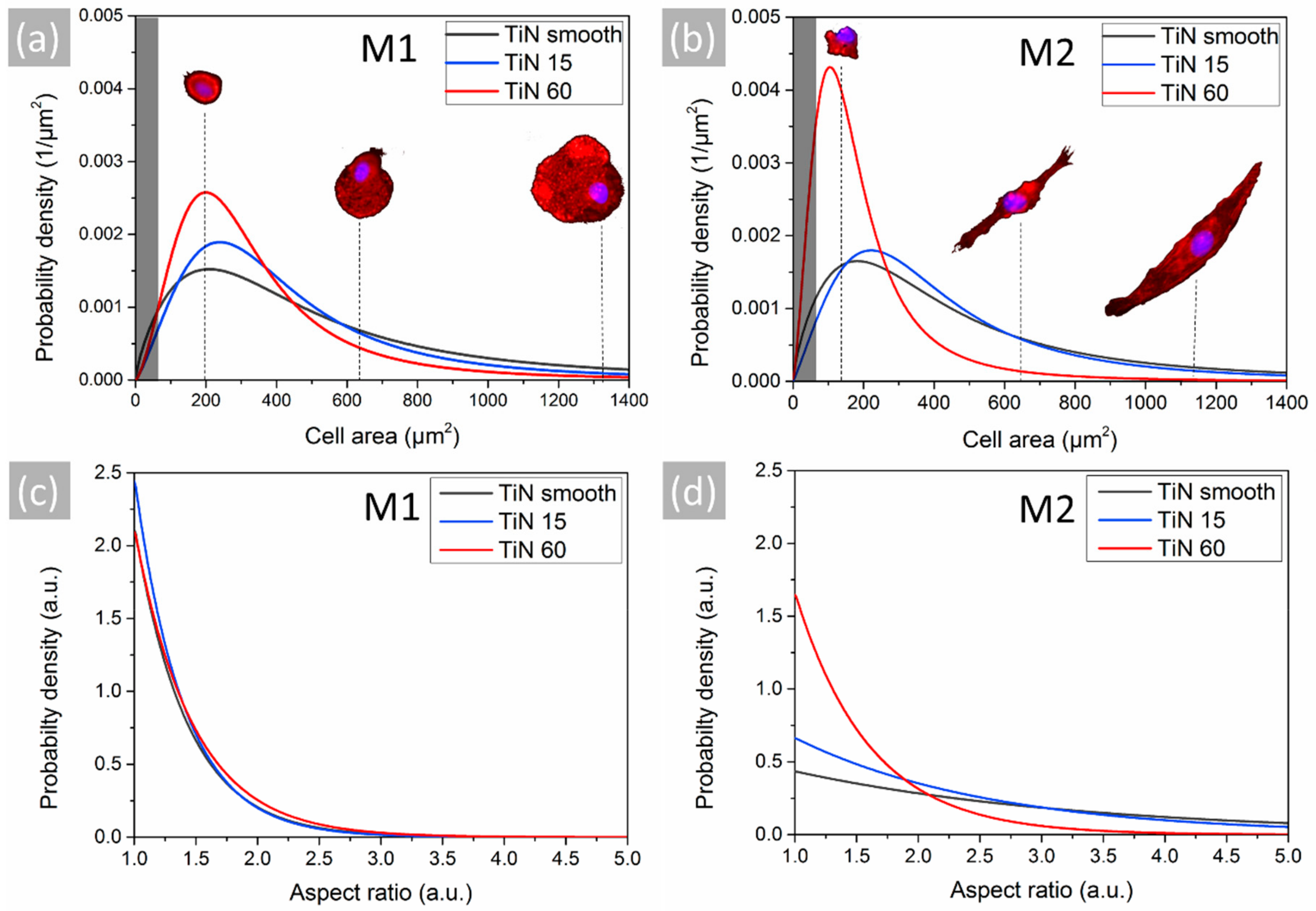 Materials 13 01142 g007