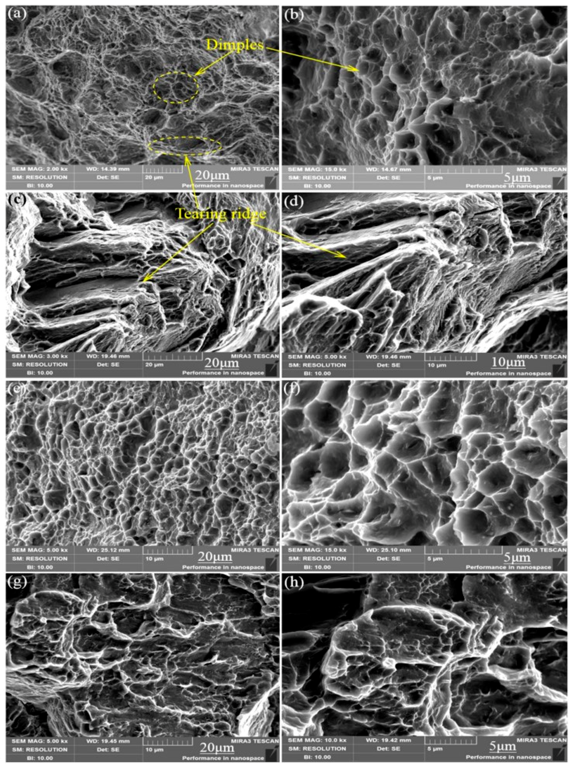 Materials 13 01147 g008 Materials 13 01147 g008