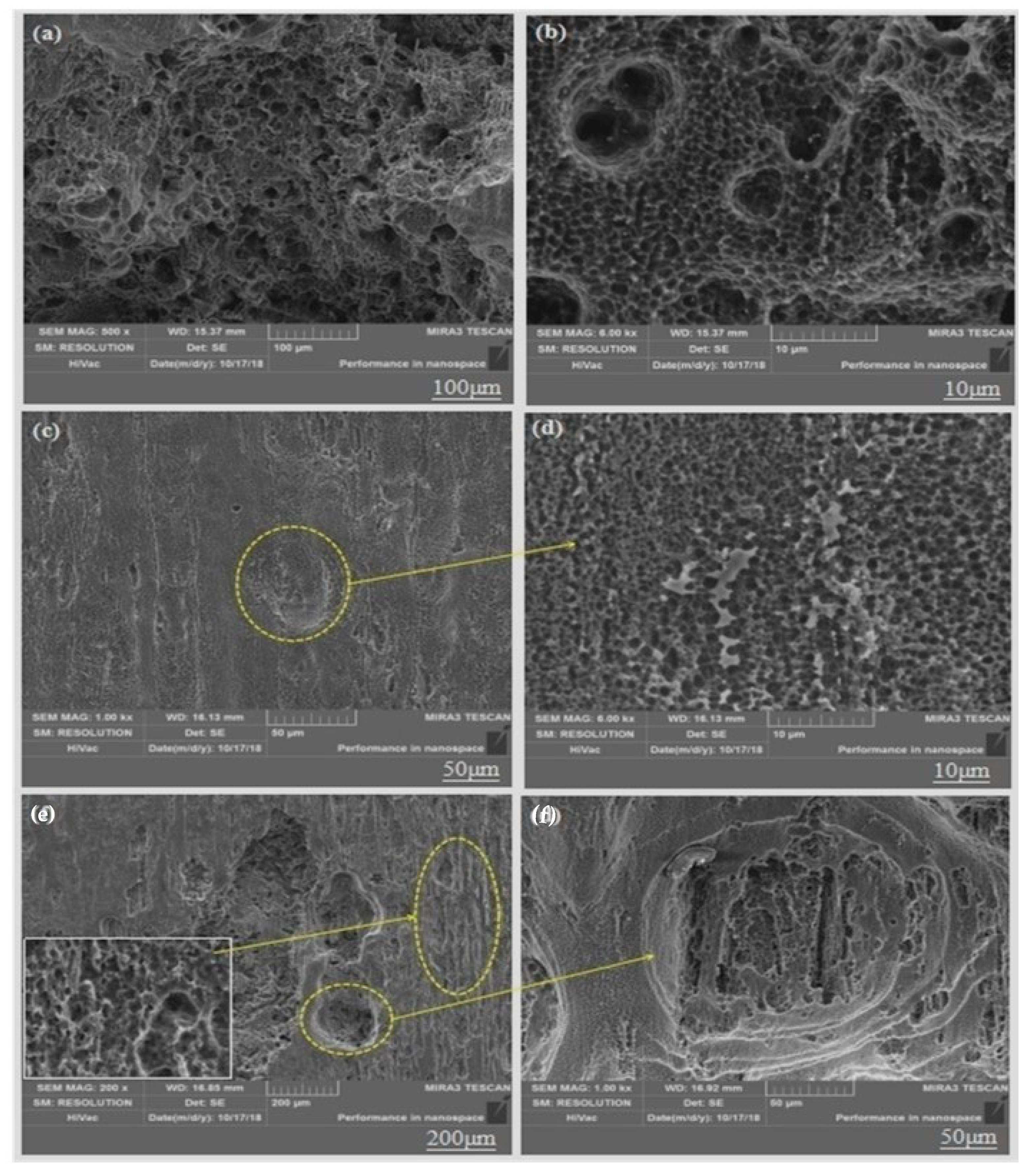 Materials 13 01147 g013 Materials 13 01147 g013