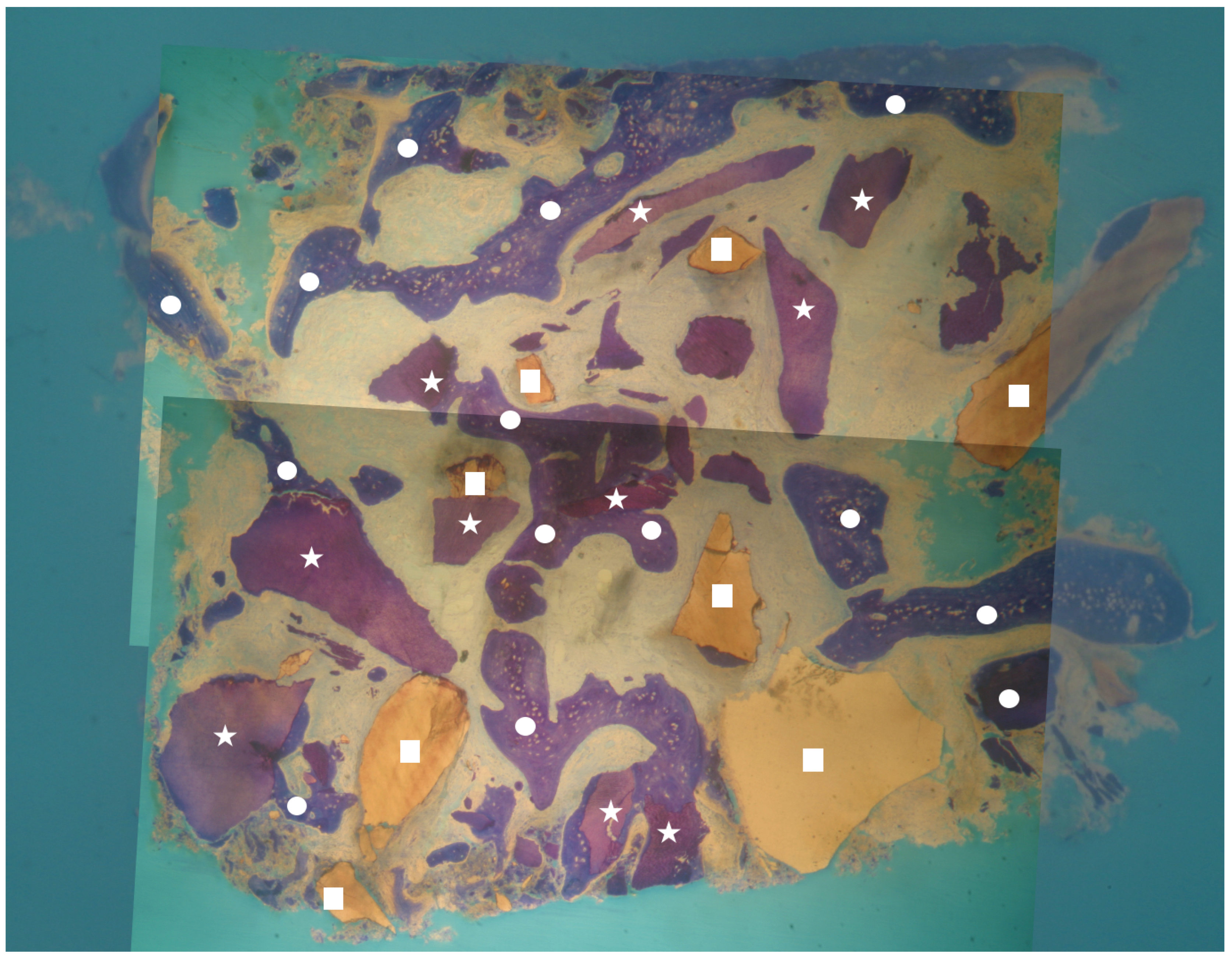 Materials 13 01153 g002