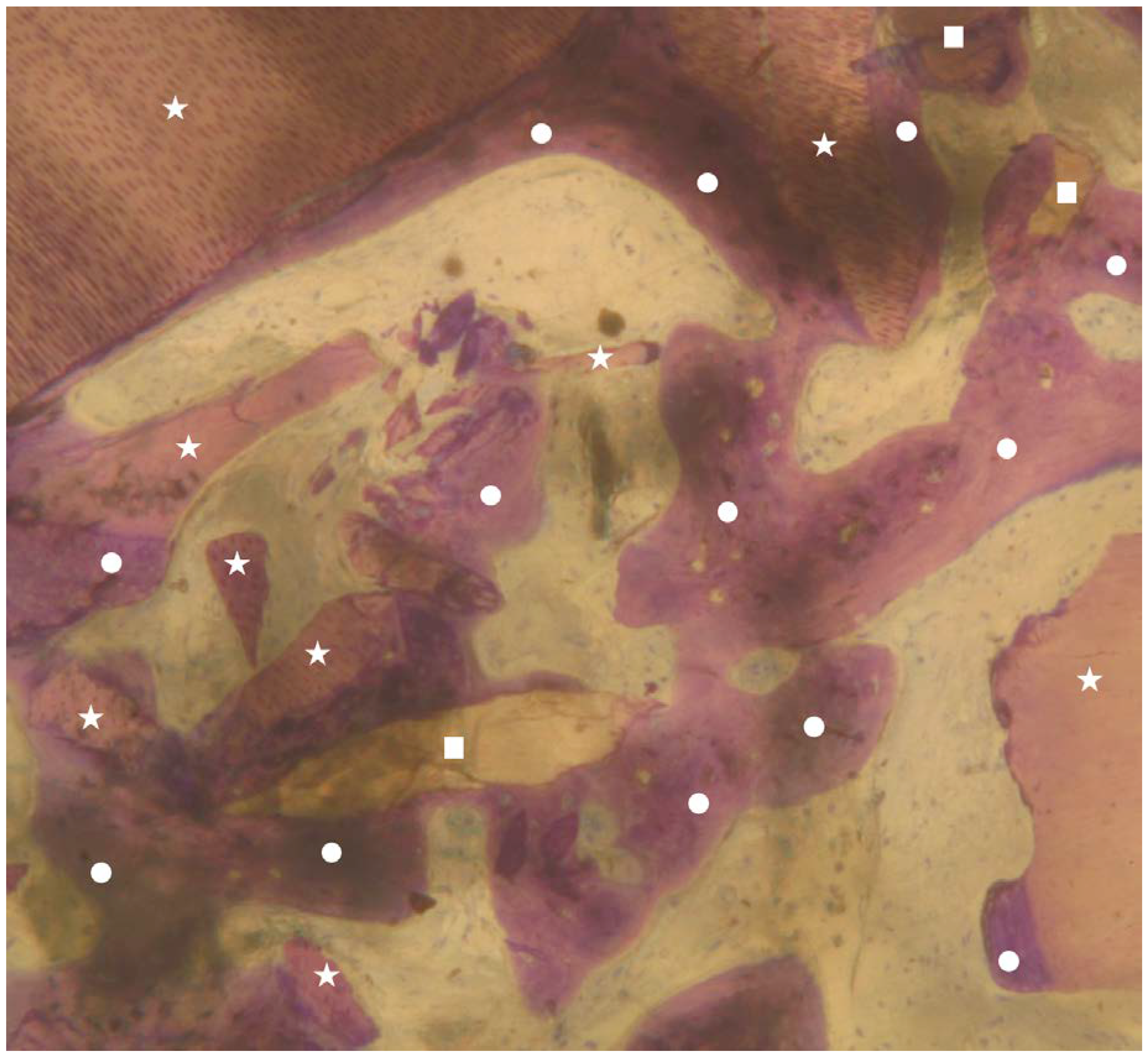 Materials 13 01153 g003