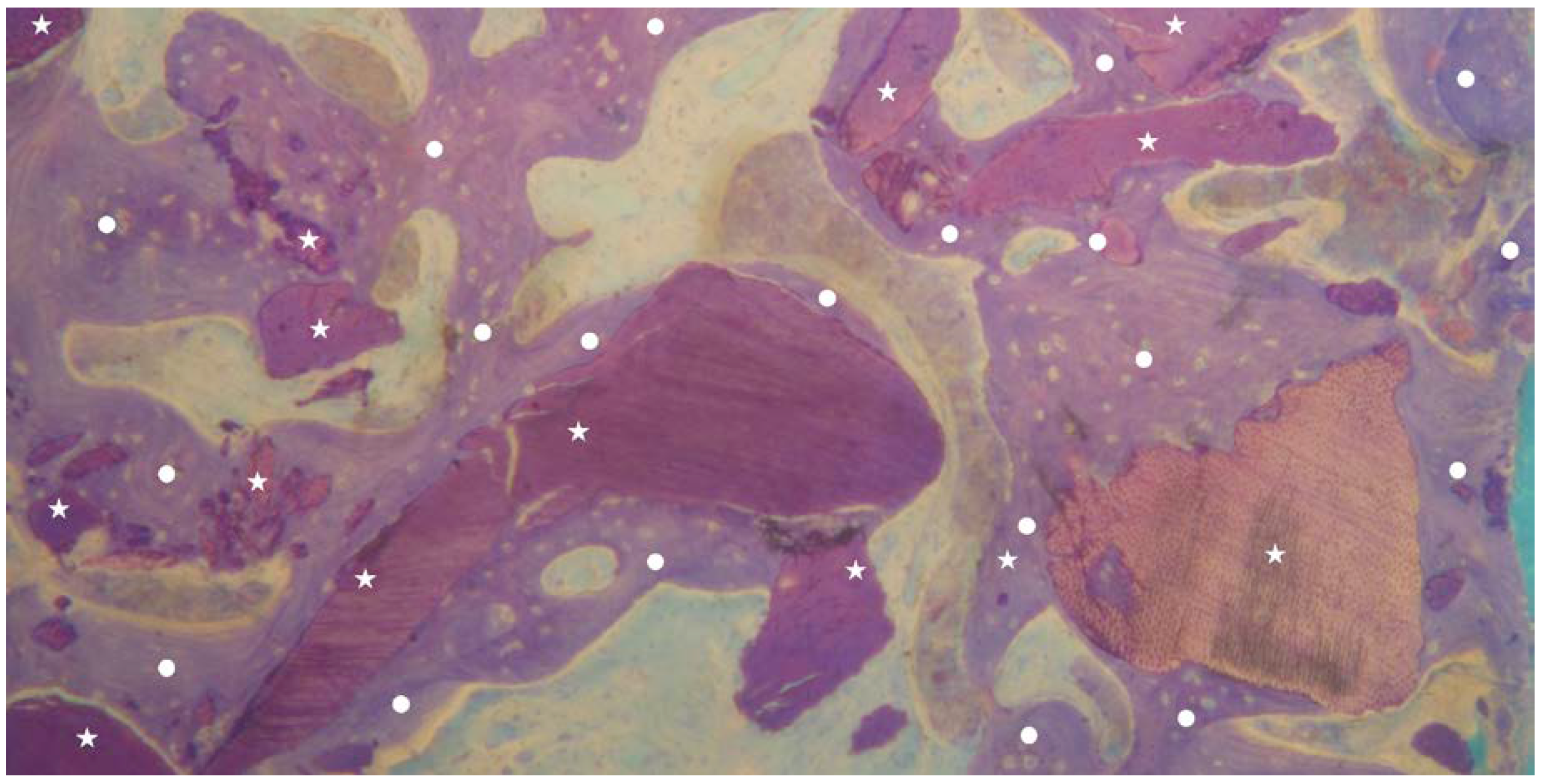 Materials 13 01153 g004