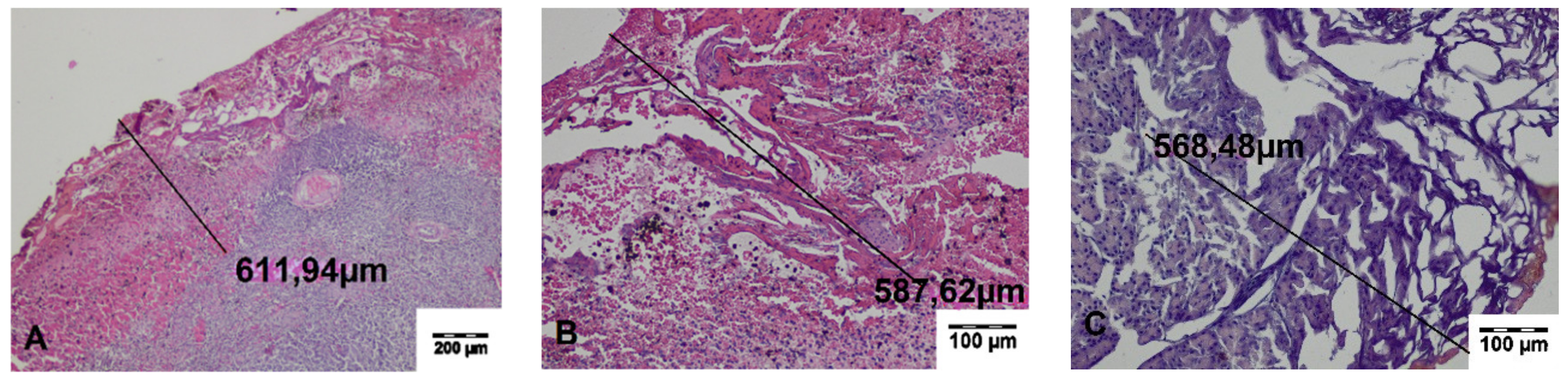 Materials 13 01167 g003