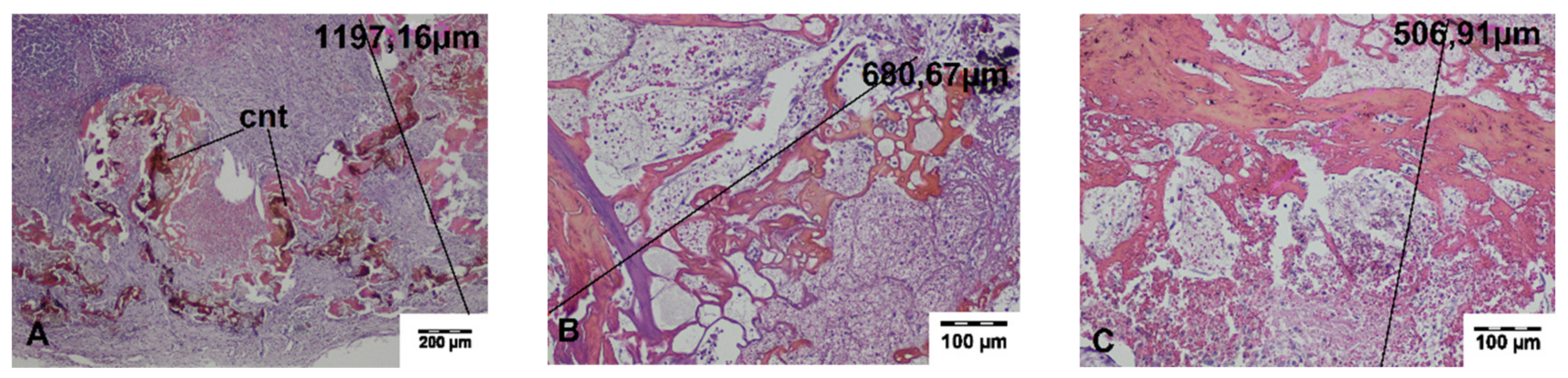 Materials 13 01167 g006