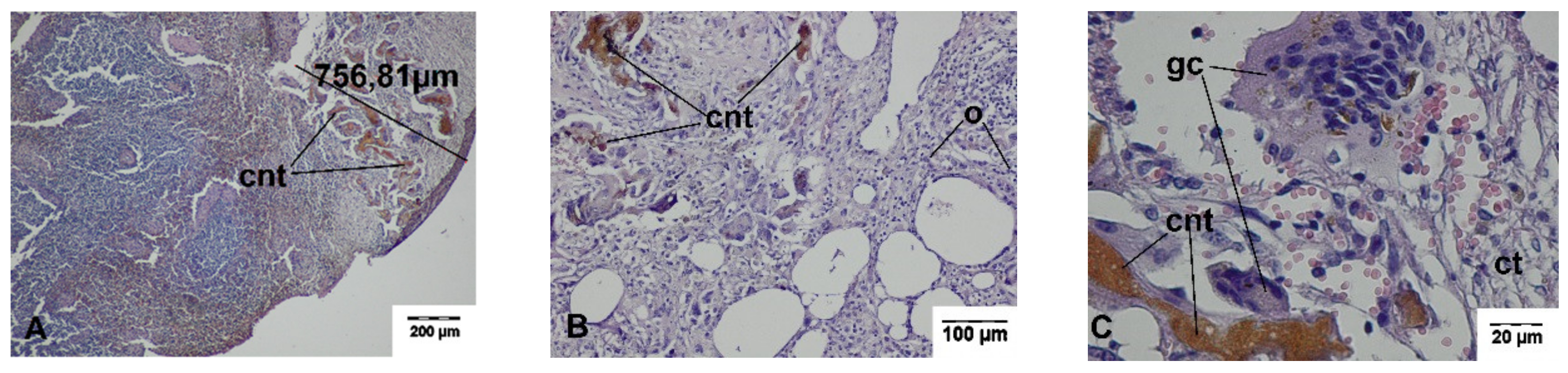 Materials 13 01167 g007
