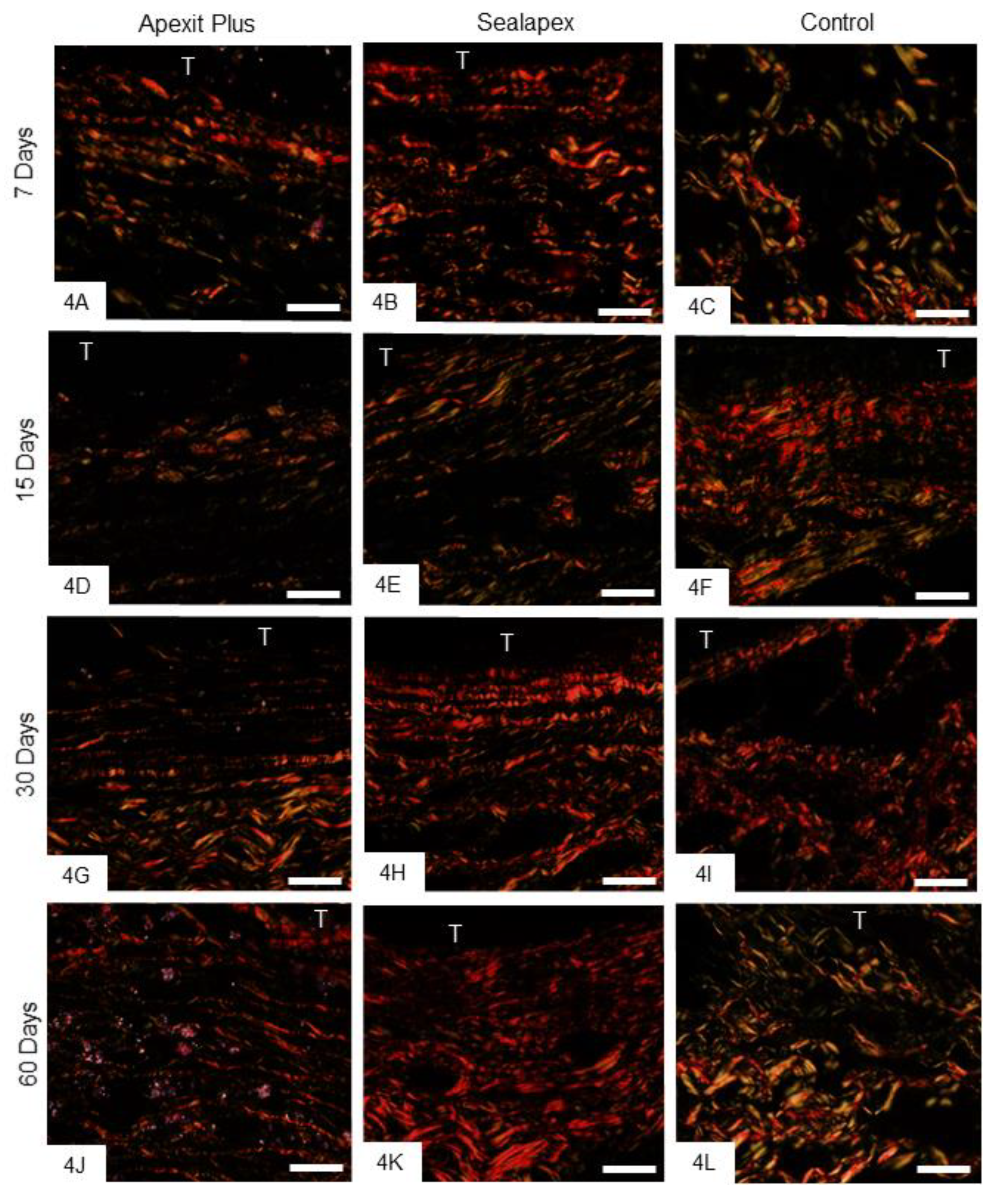 Materials 13 01171 g004