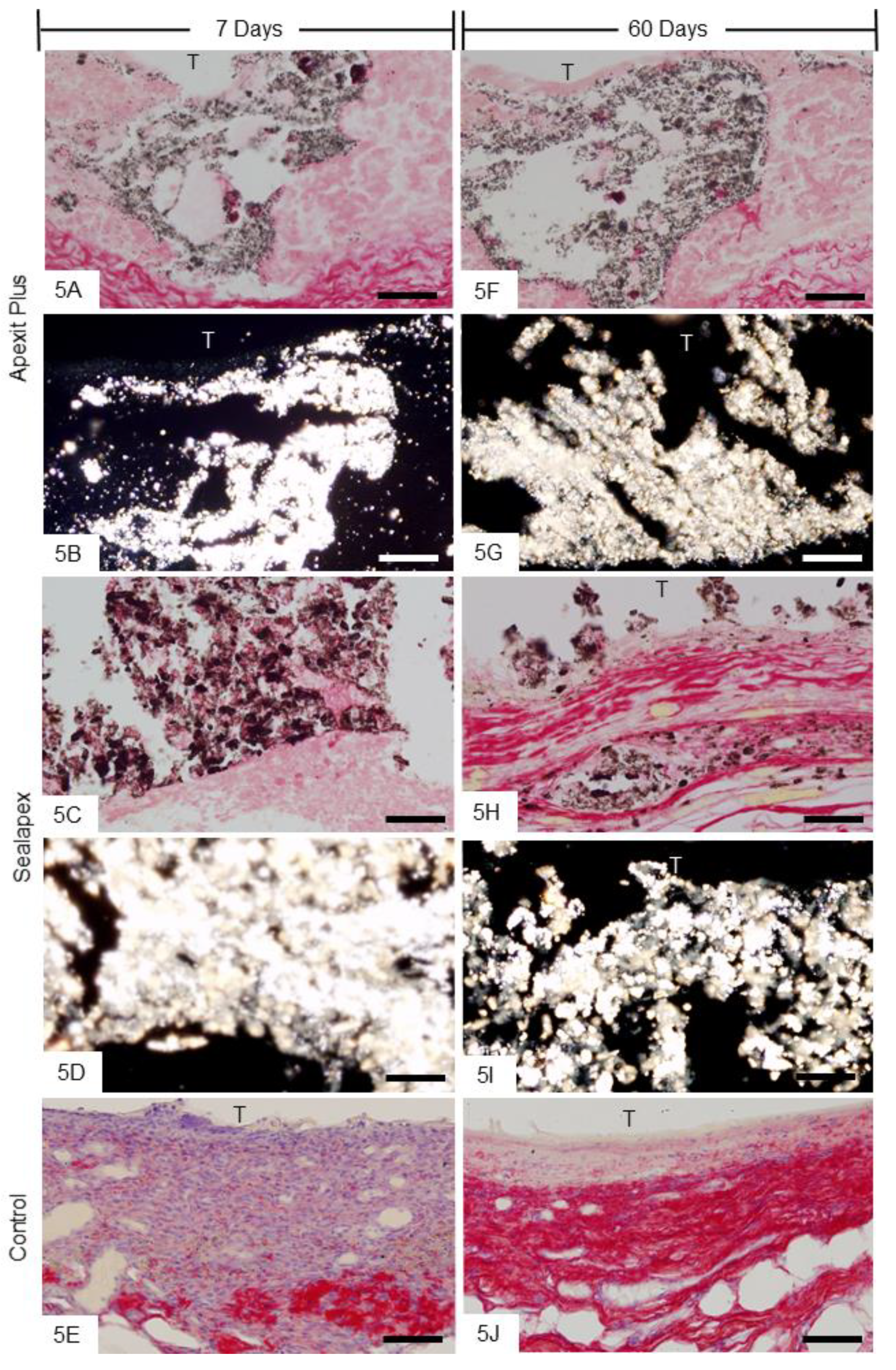 Materials 13 01171 g005