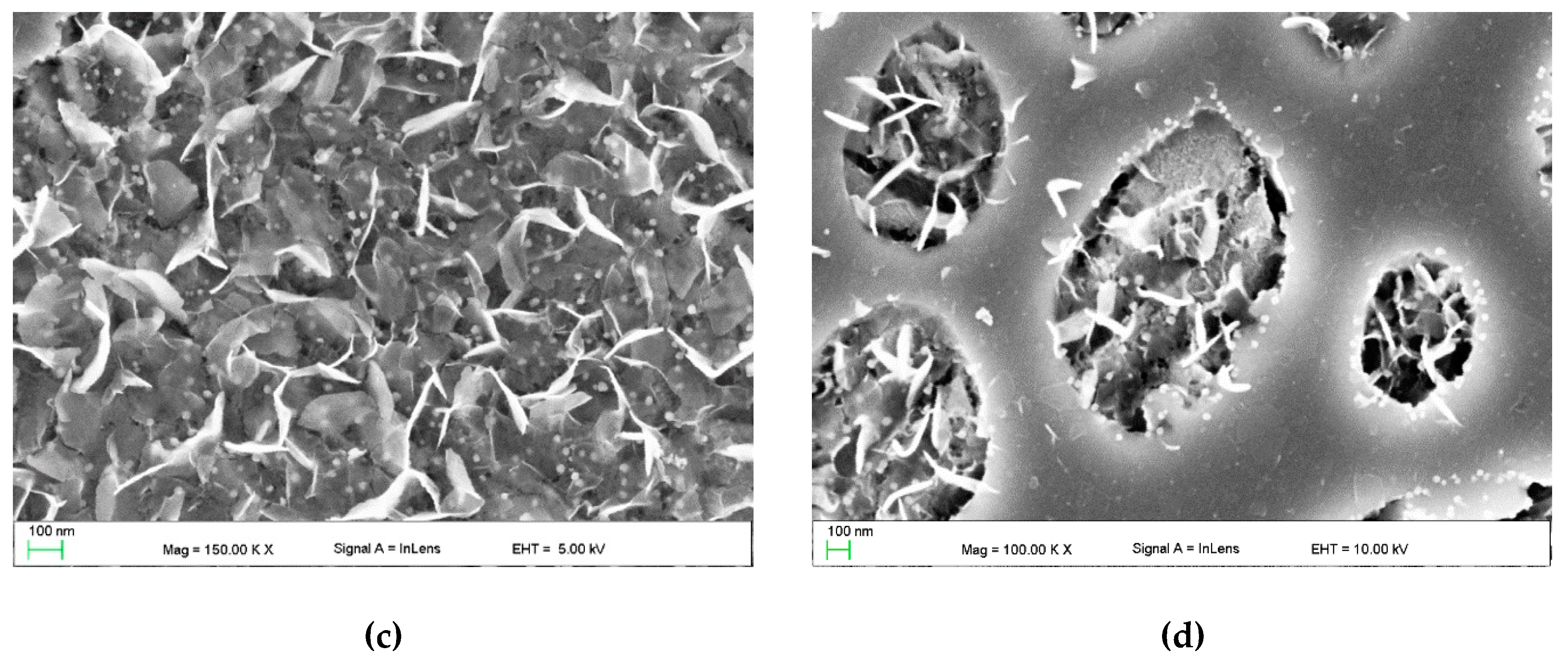 Materials 13 01174 g008b