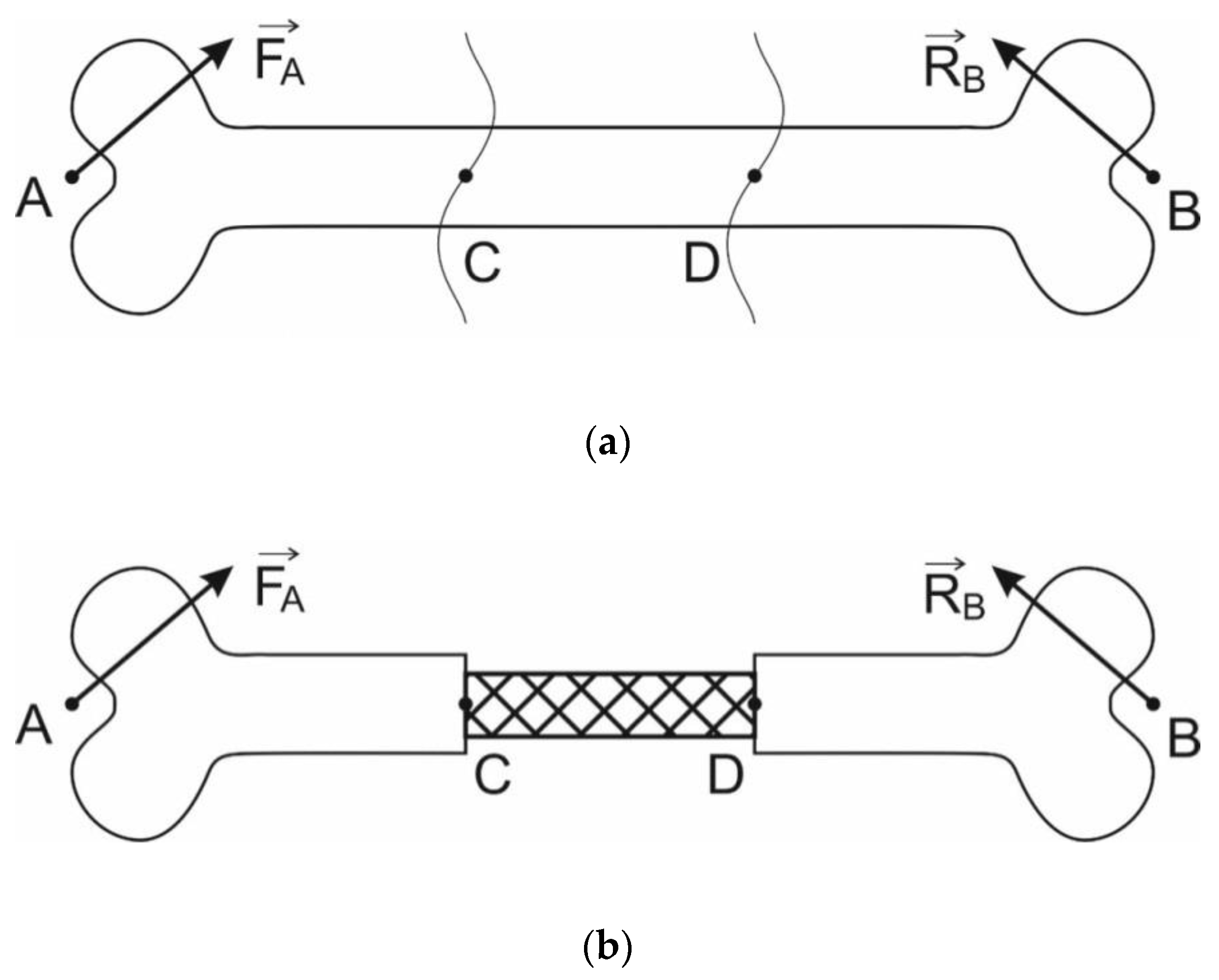 Materials 13 01185 g001 Materials 13 01185 g001