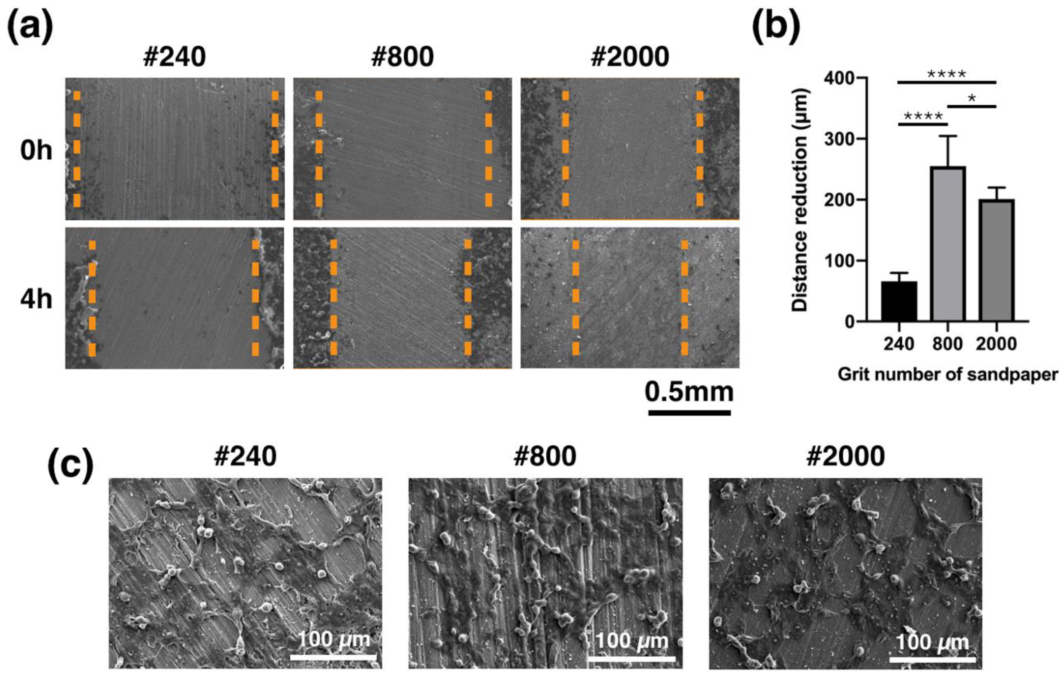 Materials 13 01188 g009 Materials 13 01188 g009