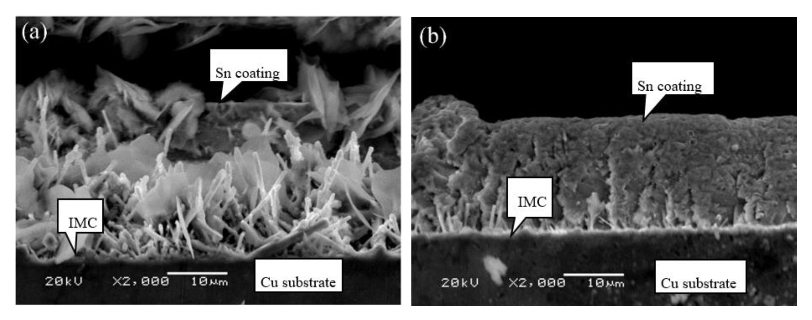 Materials 13 01191 g007a Materials 13 01191 g007a