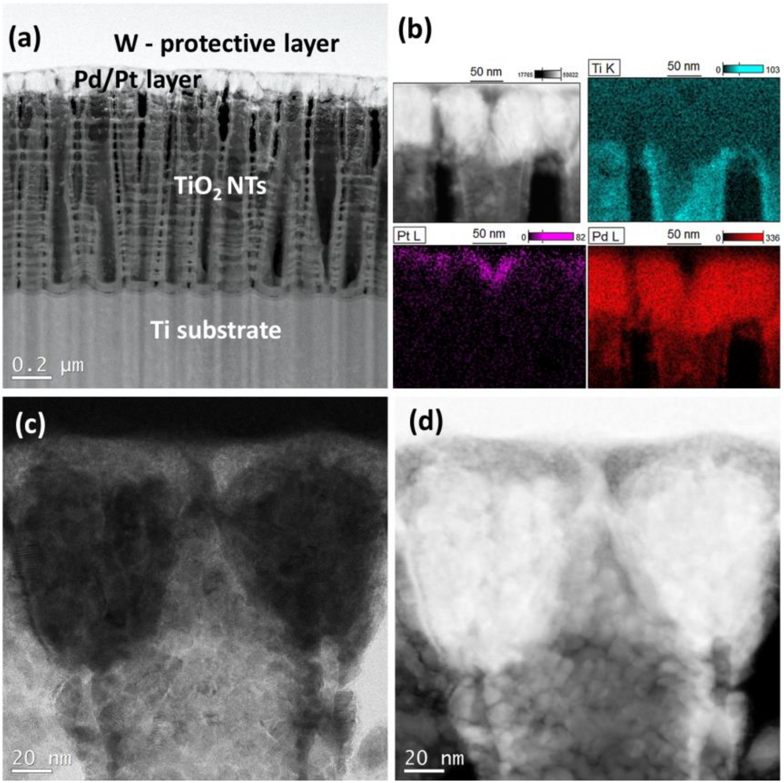 Materials 13 01195 g004 Materials 13 01195 g004