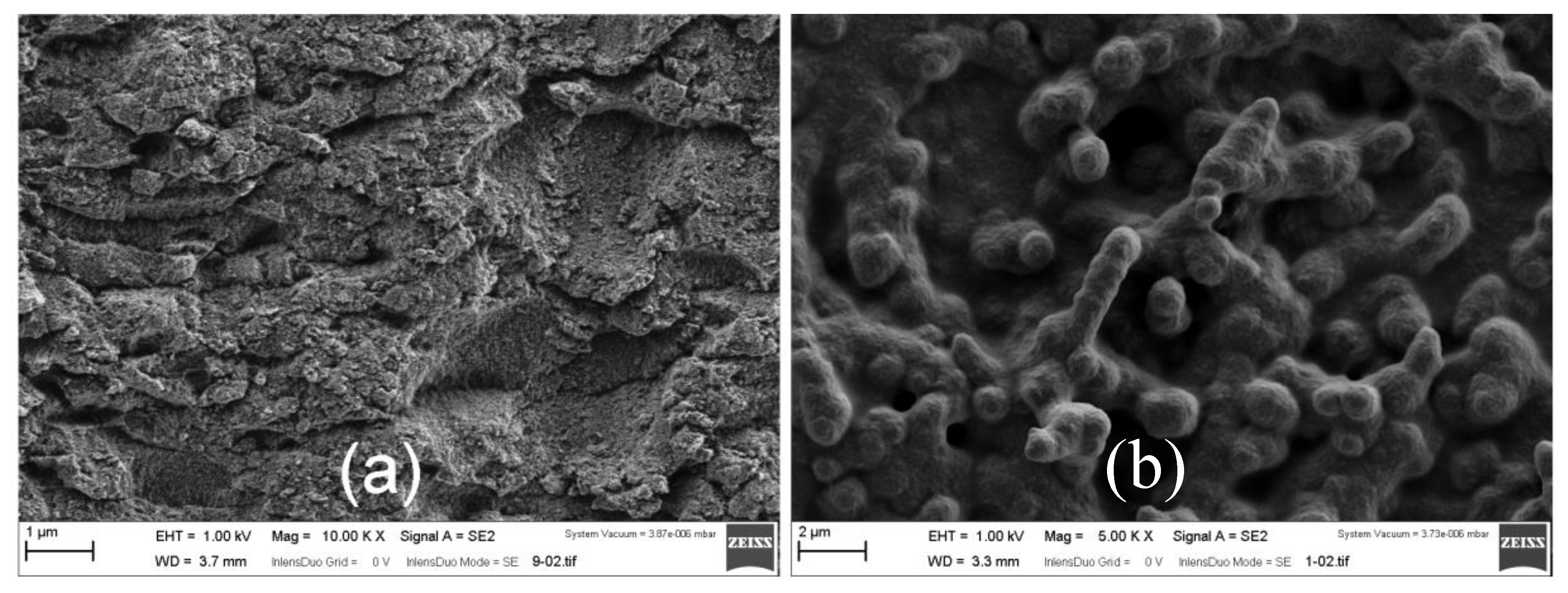 Materials 13 01200 g006 Materials 13 01200 g006