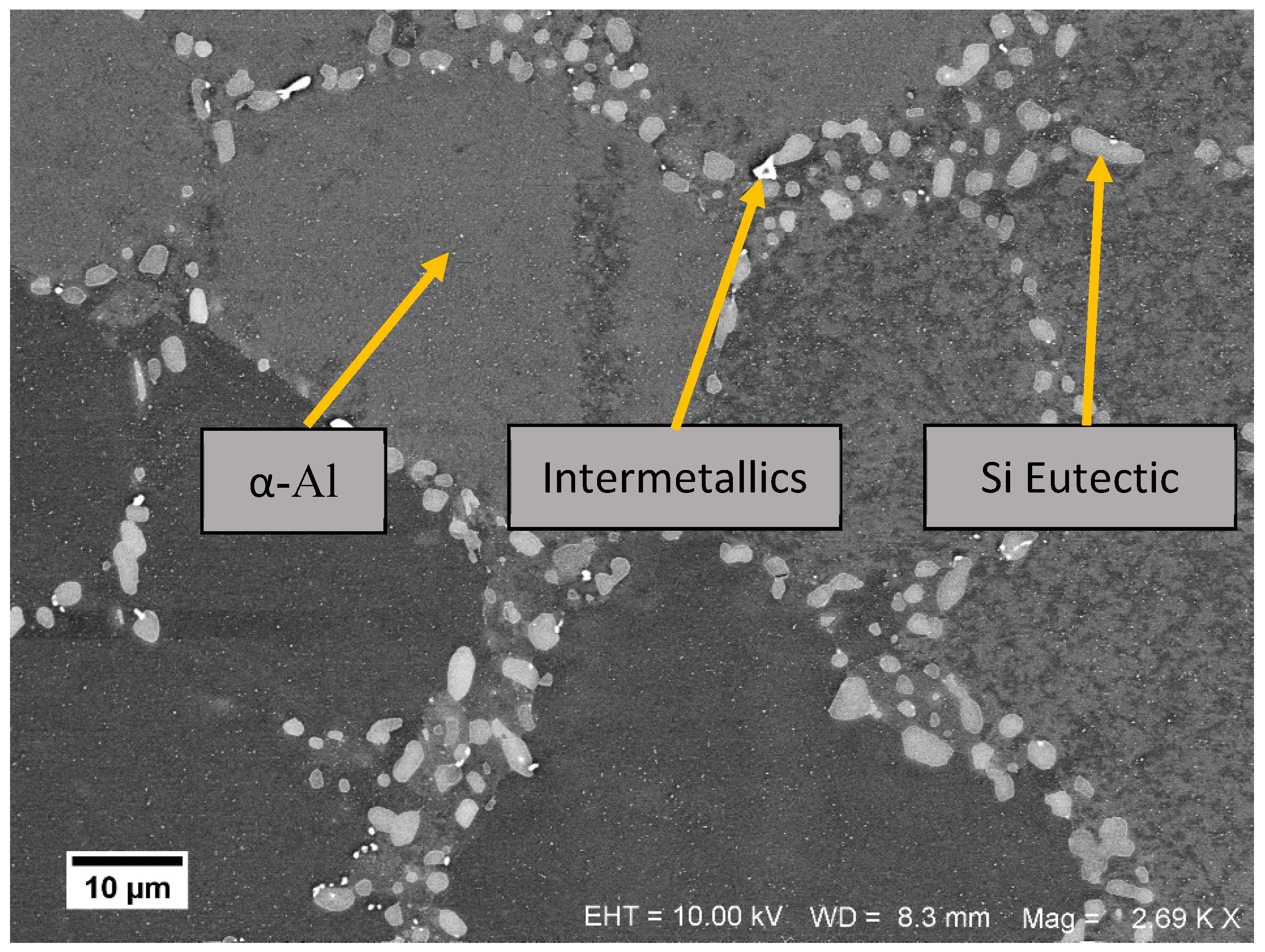 Materials 13 01202 g001 Materials 13 01202 g001