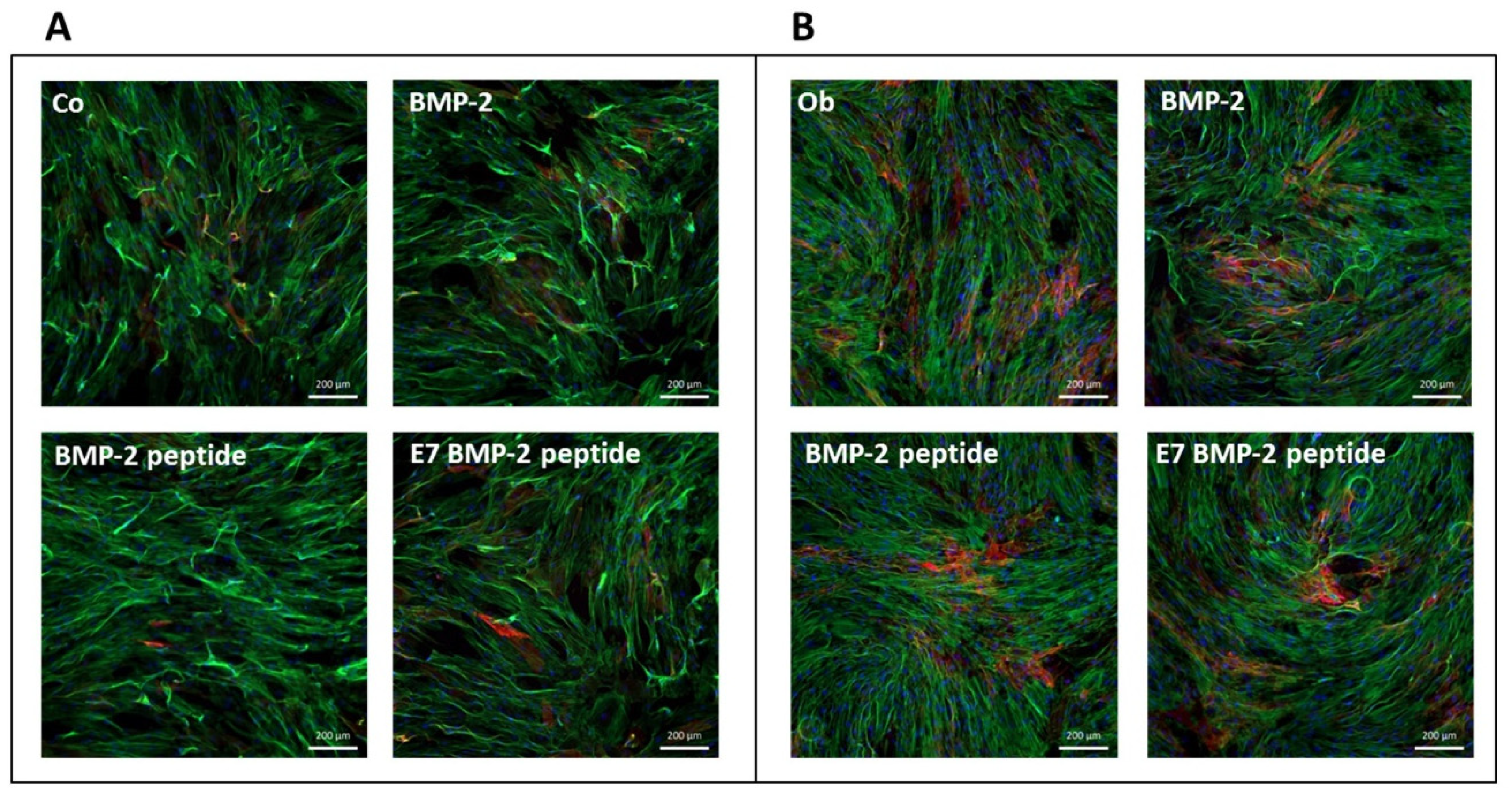Materials 13 01203 g005