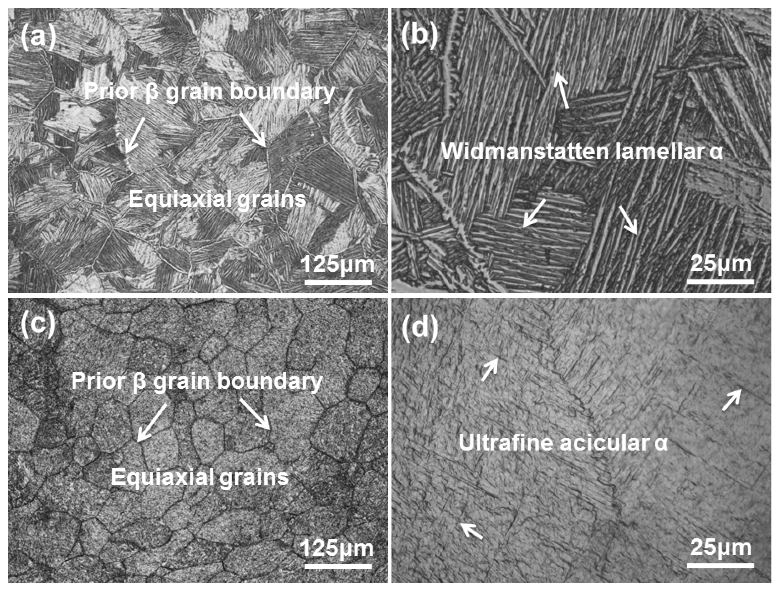 Materials 13 01210 g004 Materials 13 01210 g004
