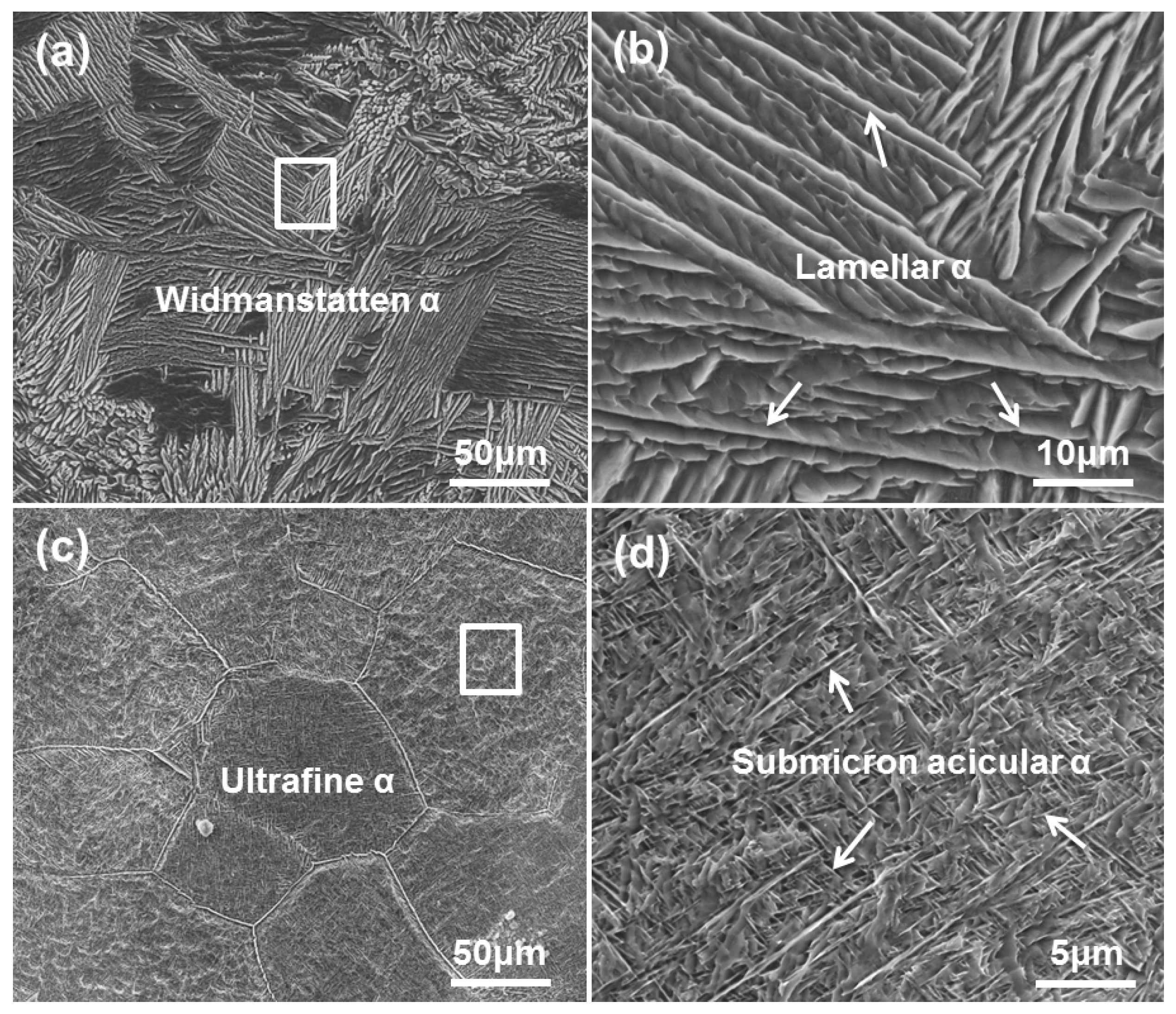 Materials 13 01210 g005 Materials 13 01210 g005