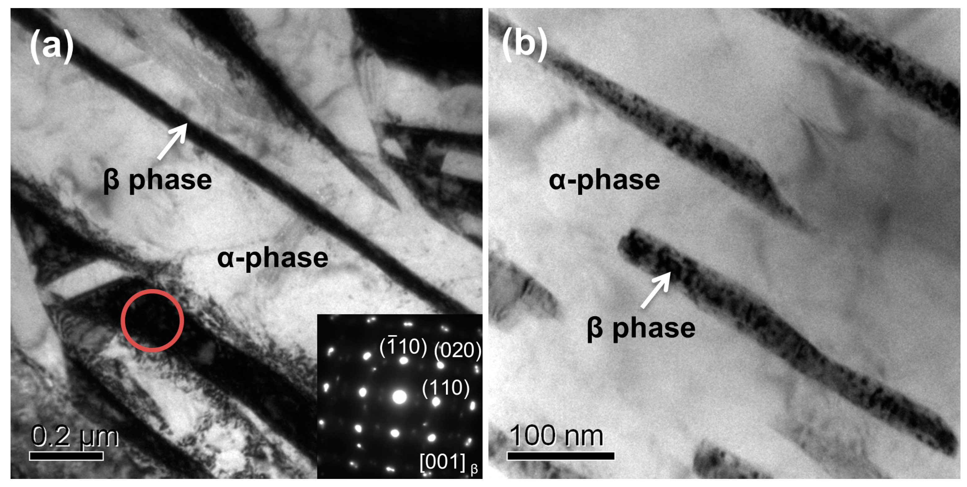 Materials 13 01210 g006 Materials 13 01210 g006