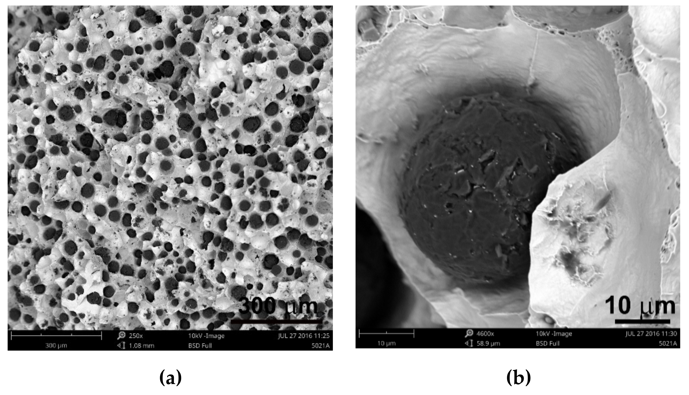 Materials 13 01231 g006