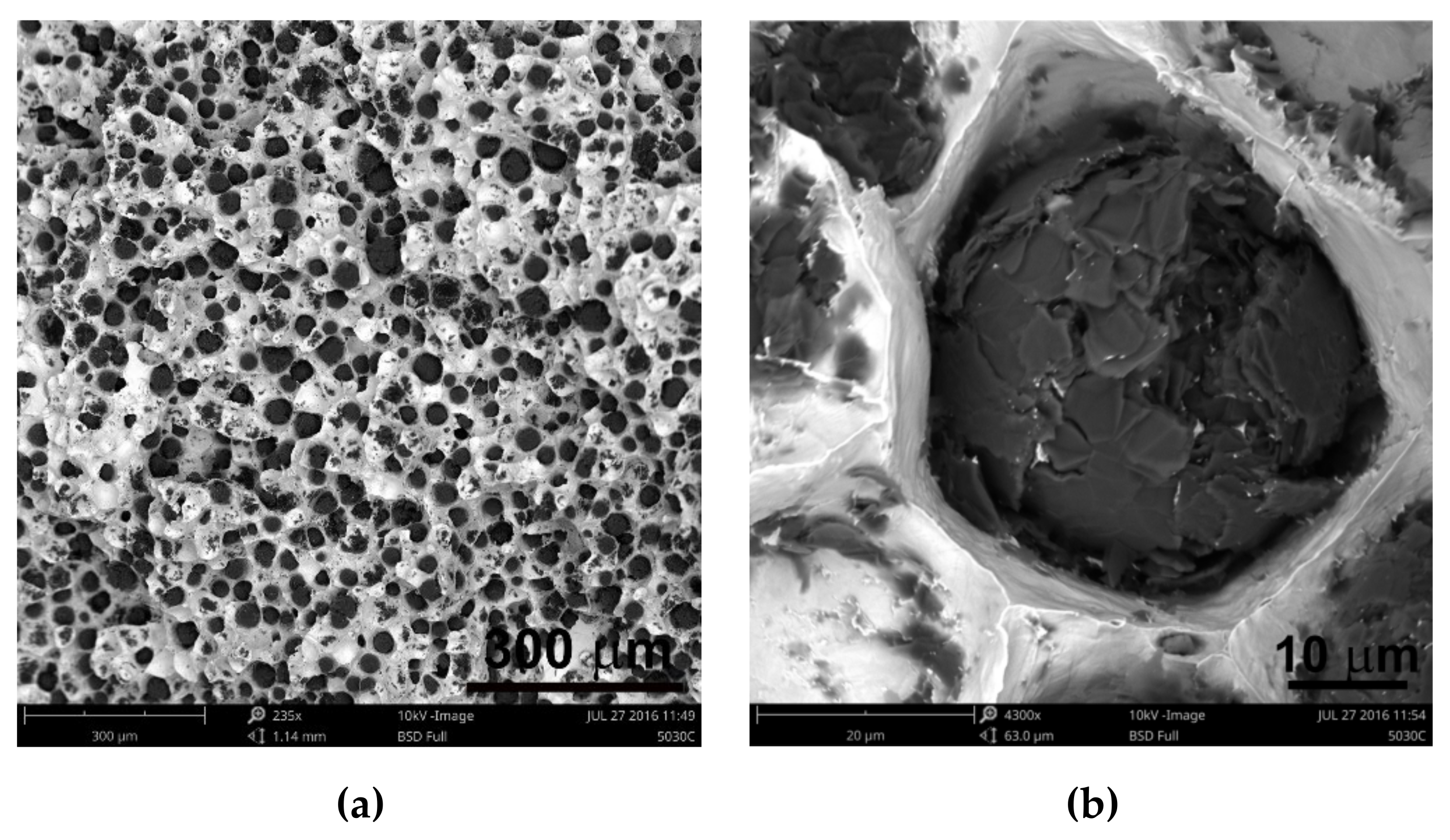 Materials 13 01231 g007