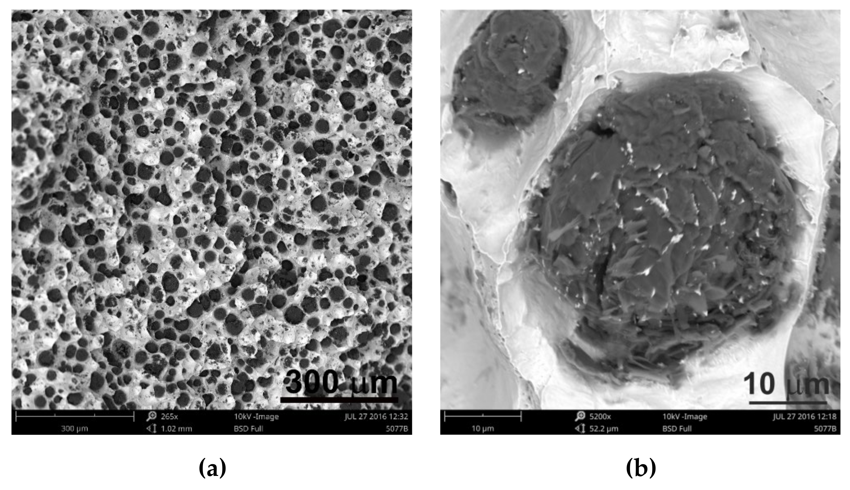 Materials 13 01231 g008