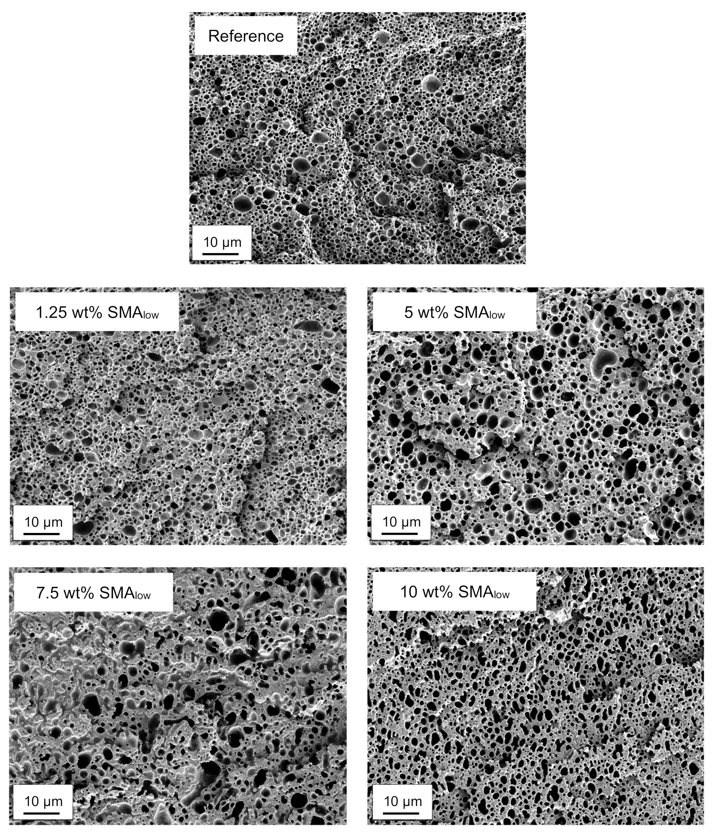 Materials 13 01237 g003 Materials 13 01237 g003
