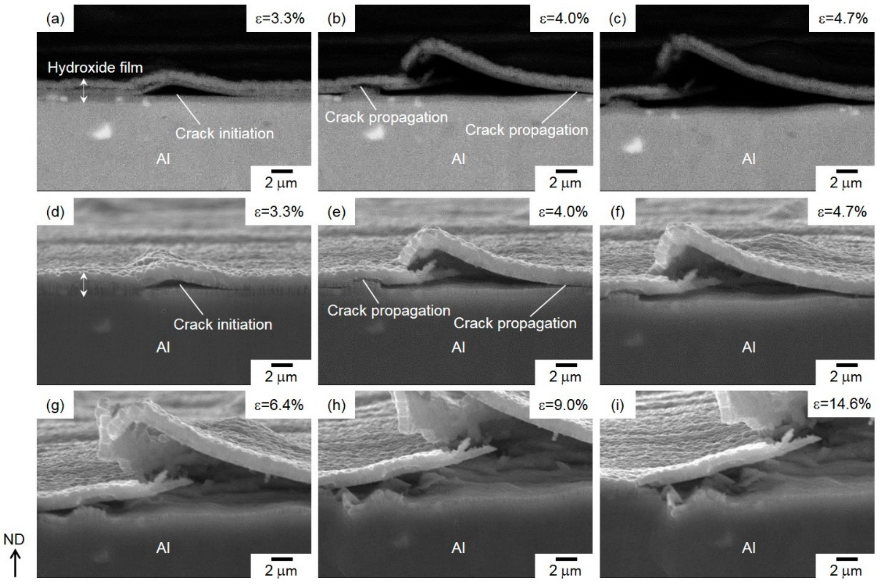 Materials 13 01238 g010