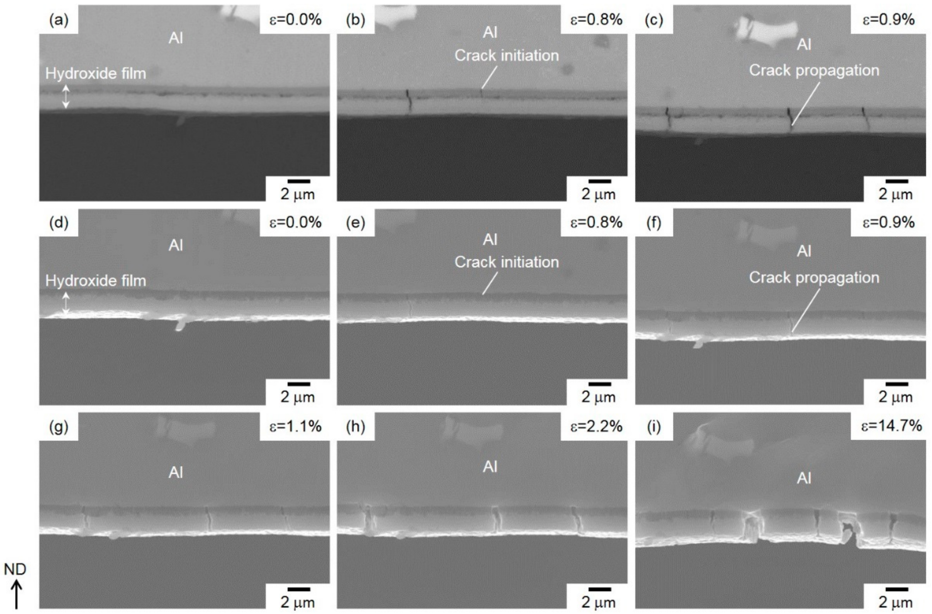 Materials 13 01238 g011