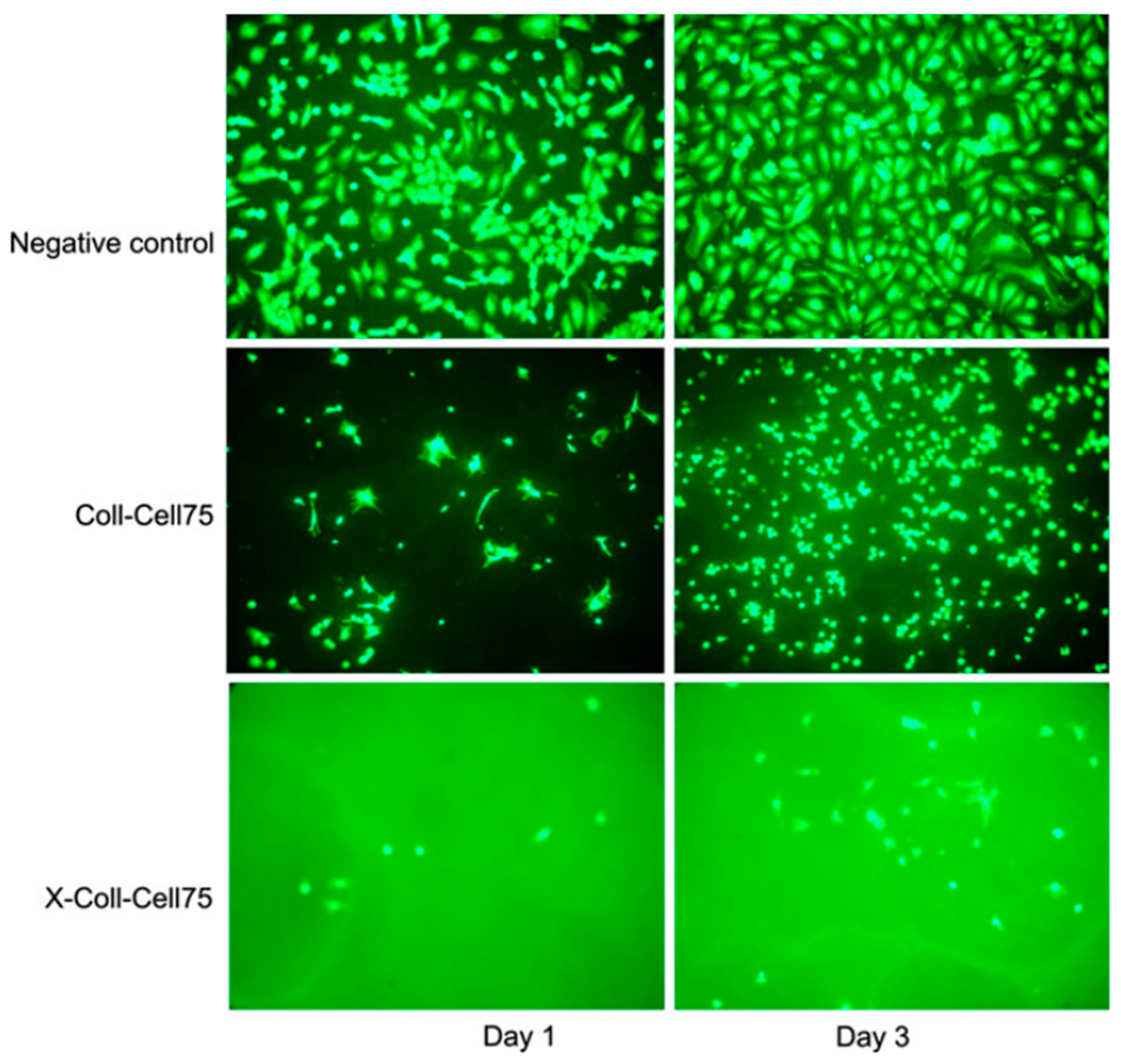 Materials 13 01245 g005 Materials 13 01245 g005