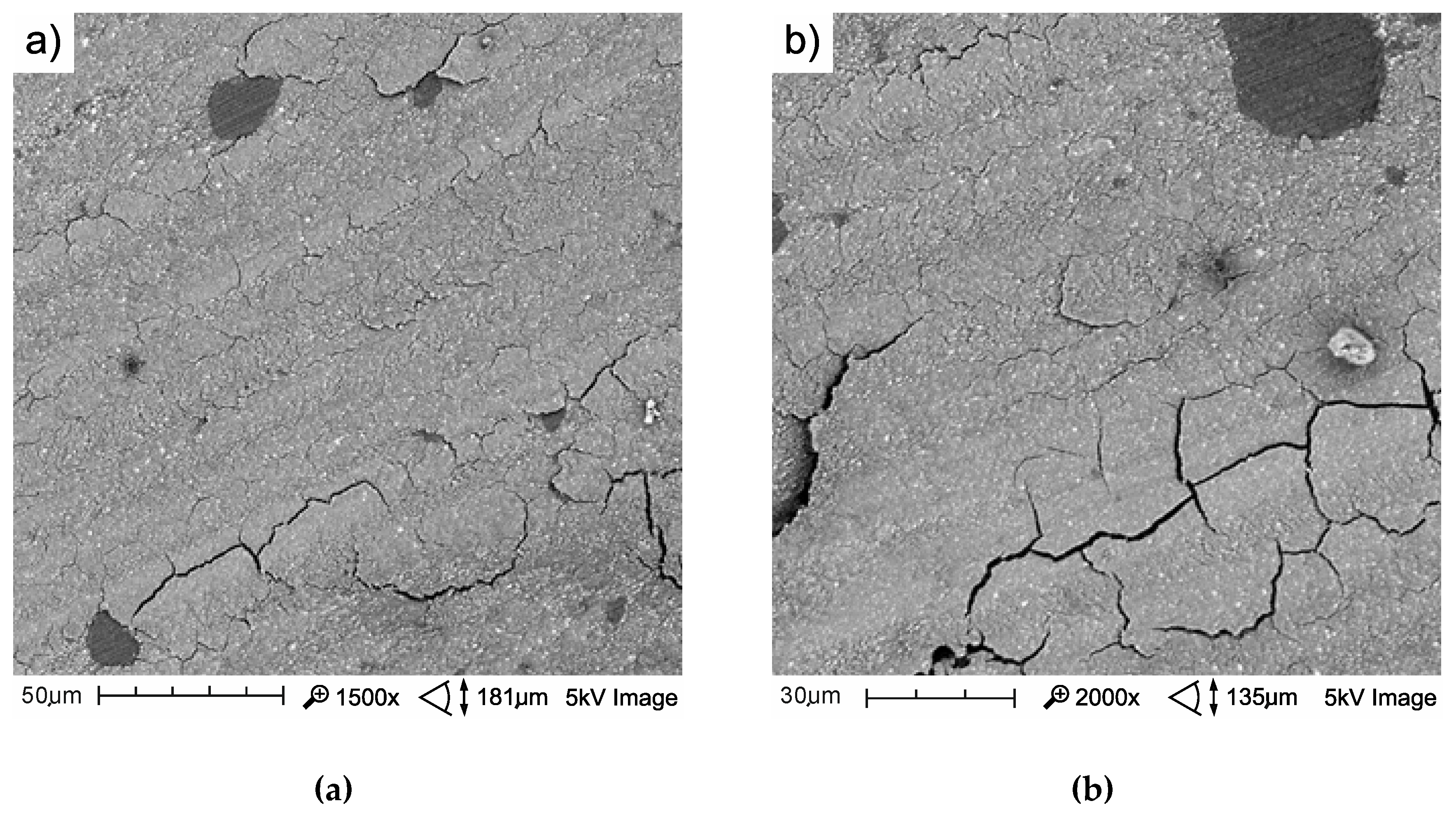 Materials 13 01255 g014 Materials 13 01255 g014