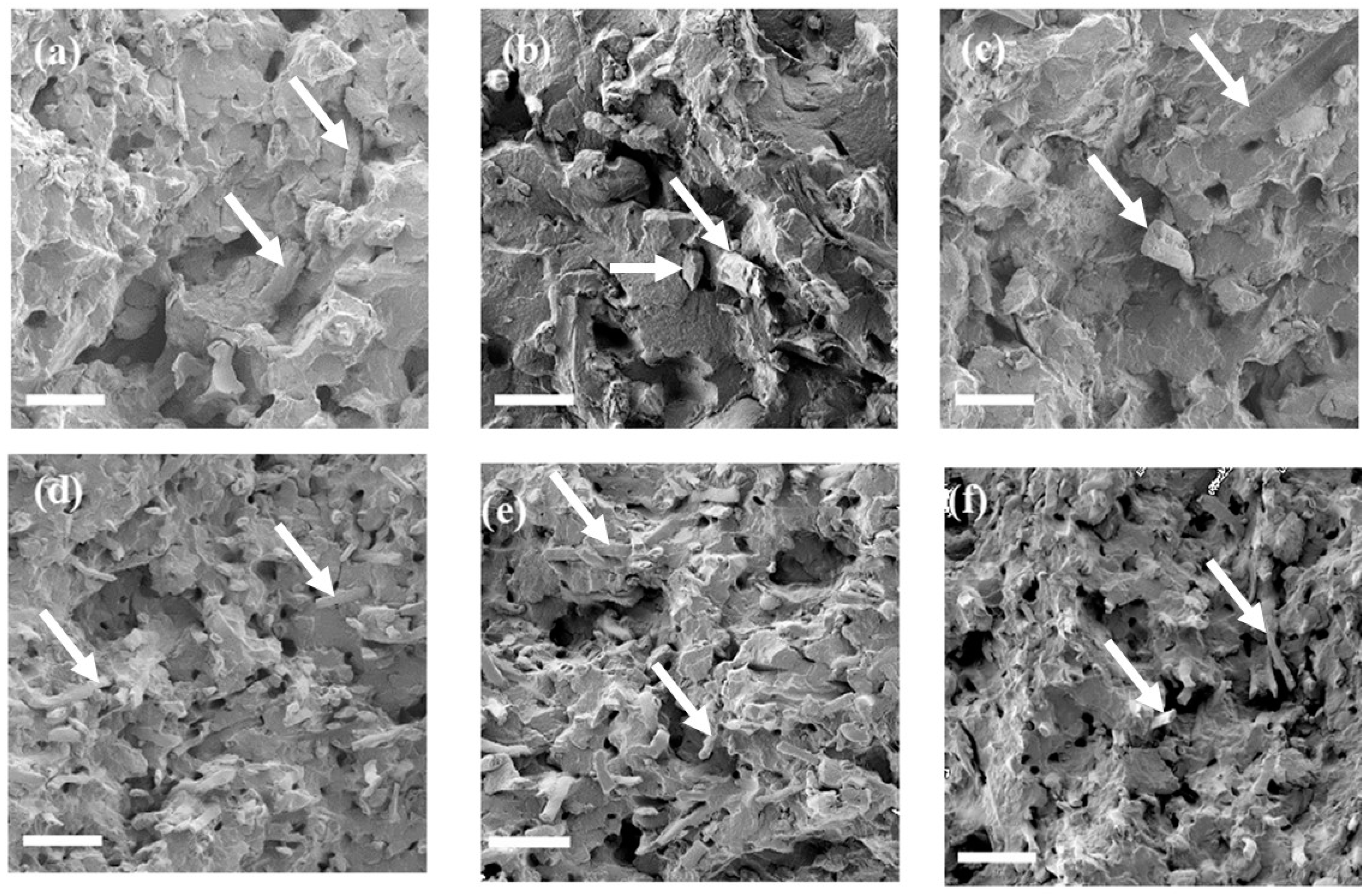 Materials 13 01259 g005 Materials 13 01259 g005