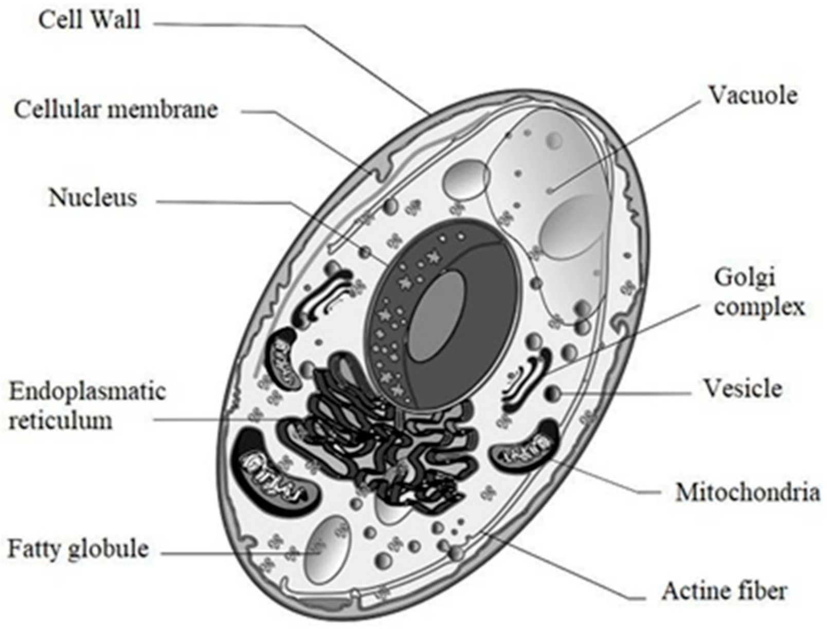 Materials 13 01263 g001 Materials 13 01263 g001