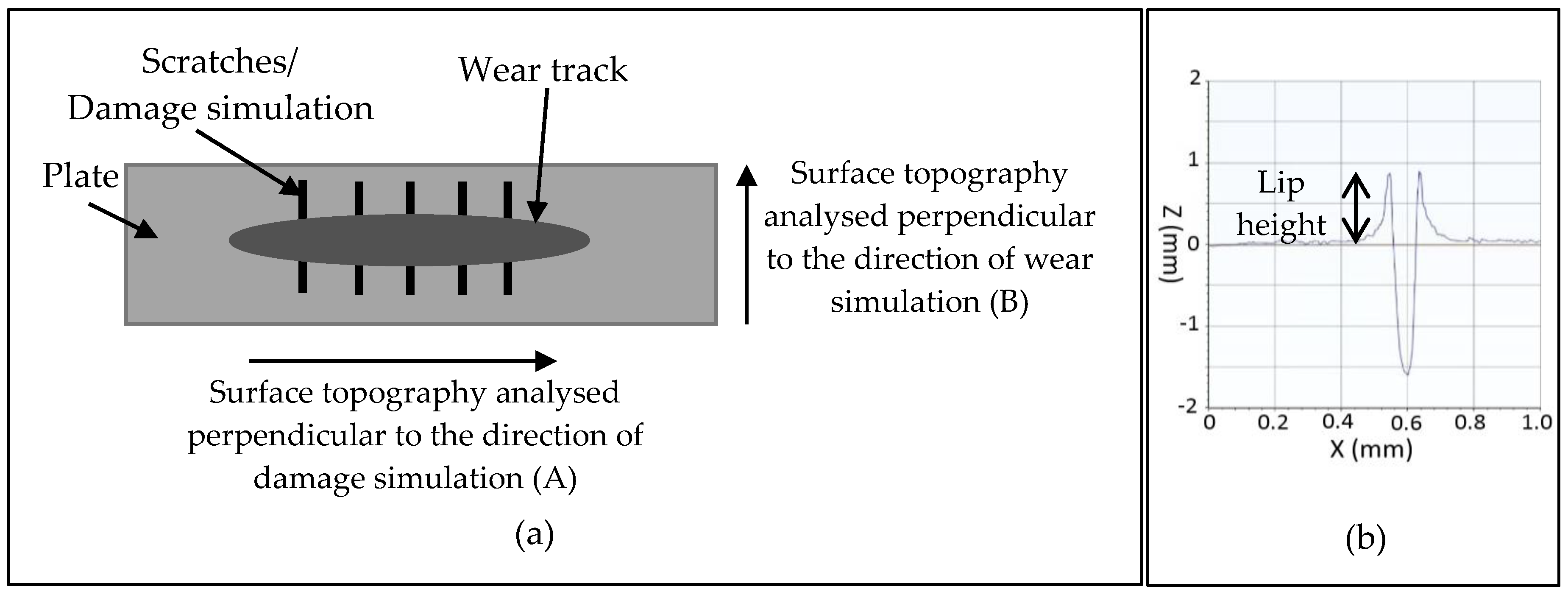 Materials 13 01264 g001 Materials 13 01264 g001