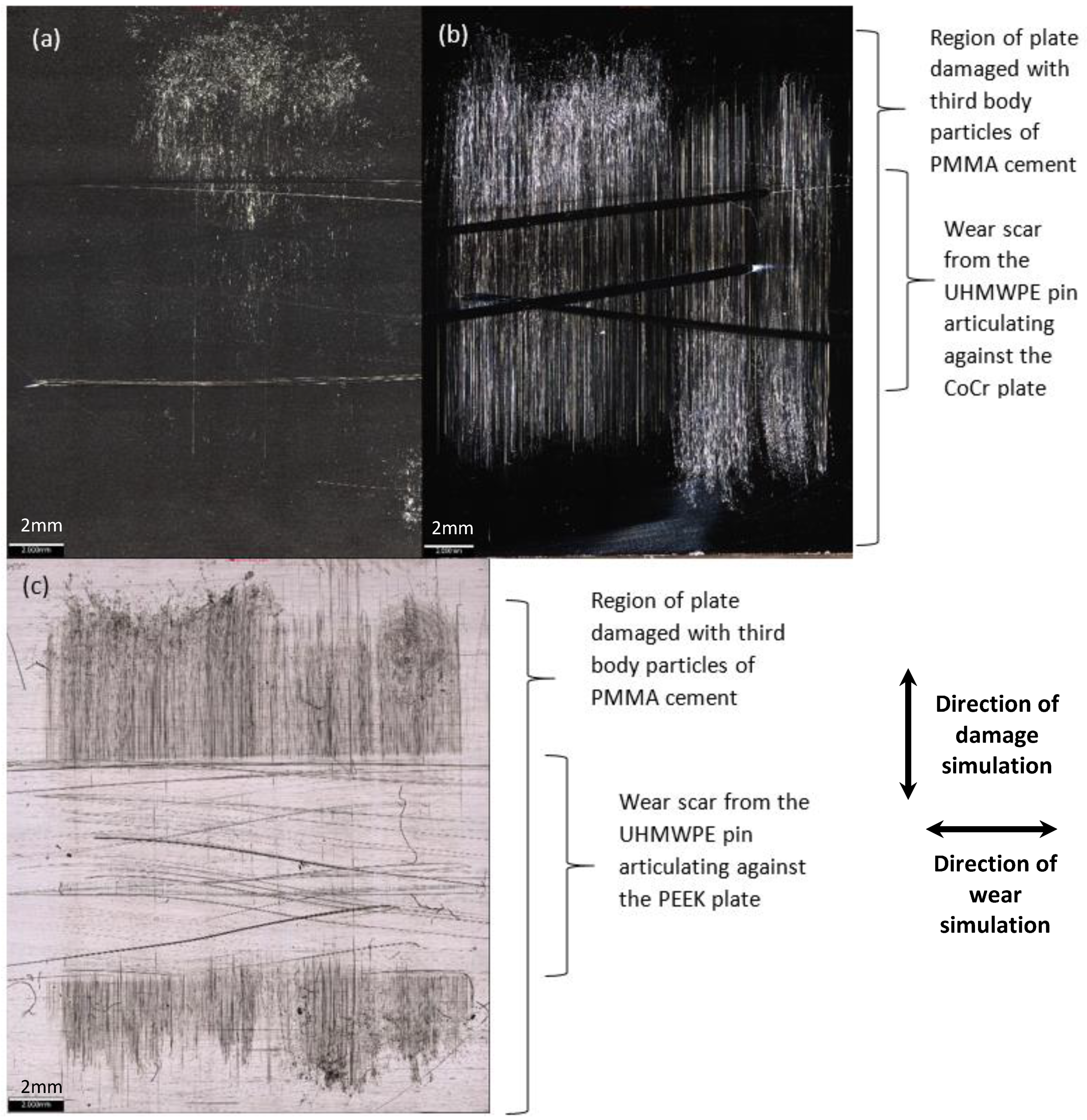Materials 13 01264 g002 Materials 13 01264 g002