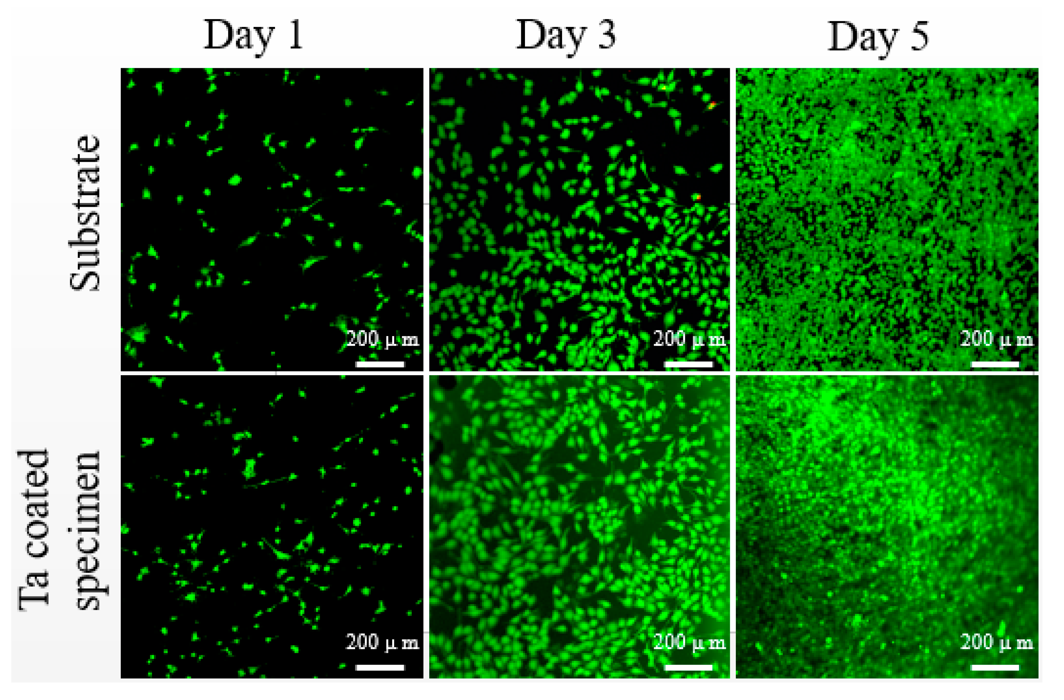 Materials 13 01265 g008