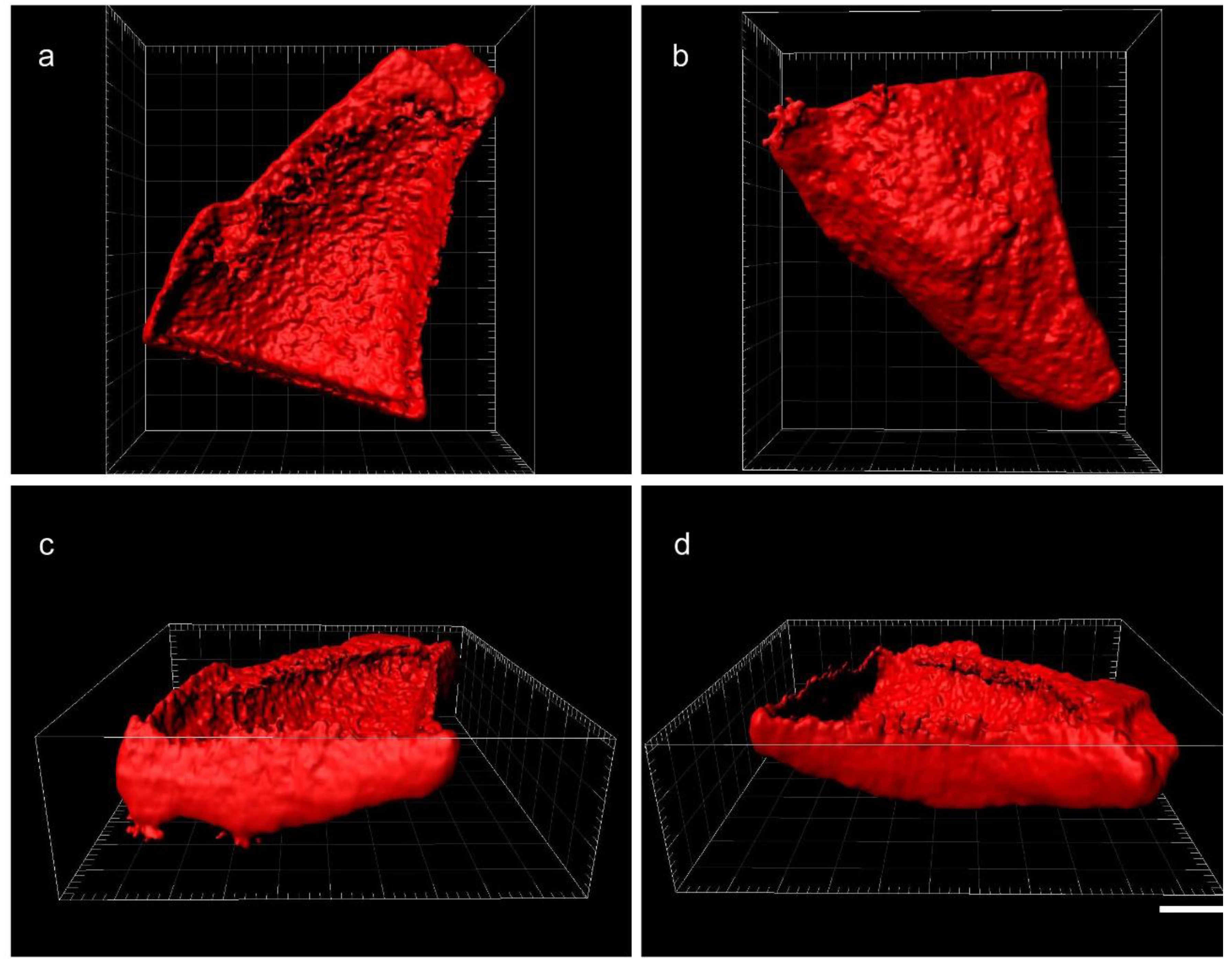 Materials 13 01273 g001 Materials 13 01273 g001