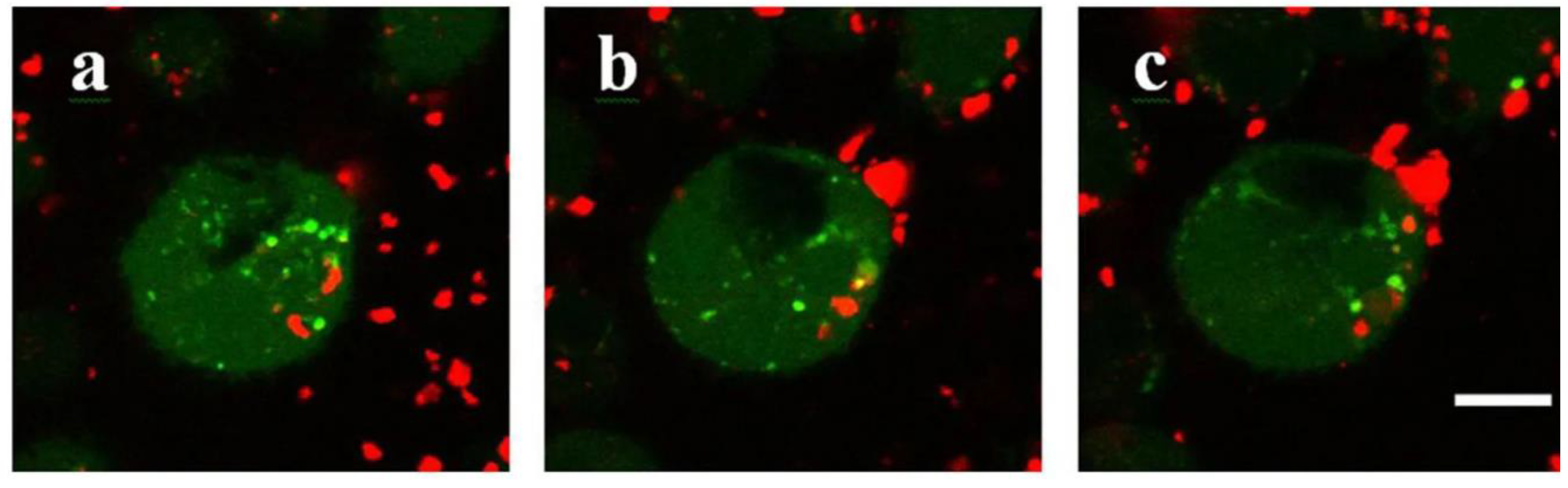 Materials 13 01273 g005 Materials 13 01273 g005