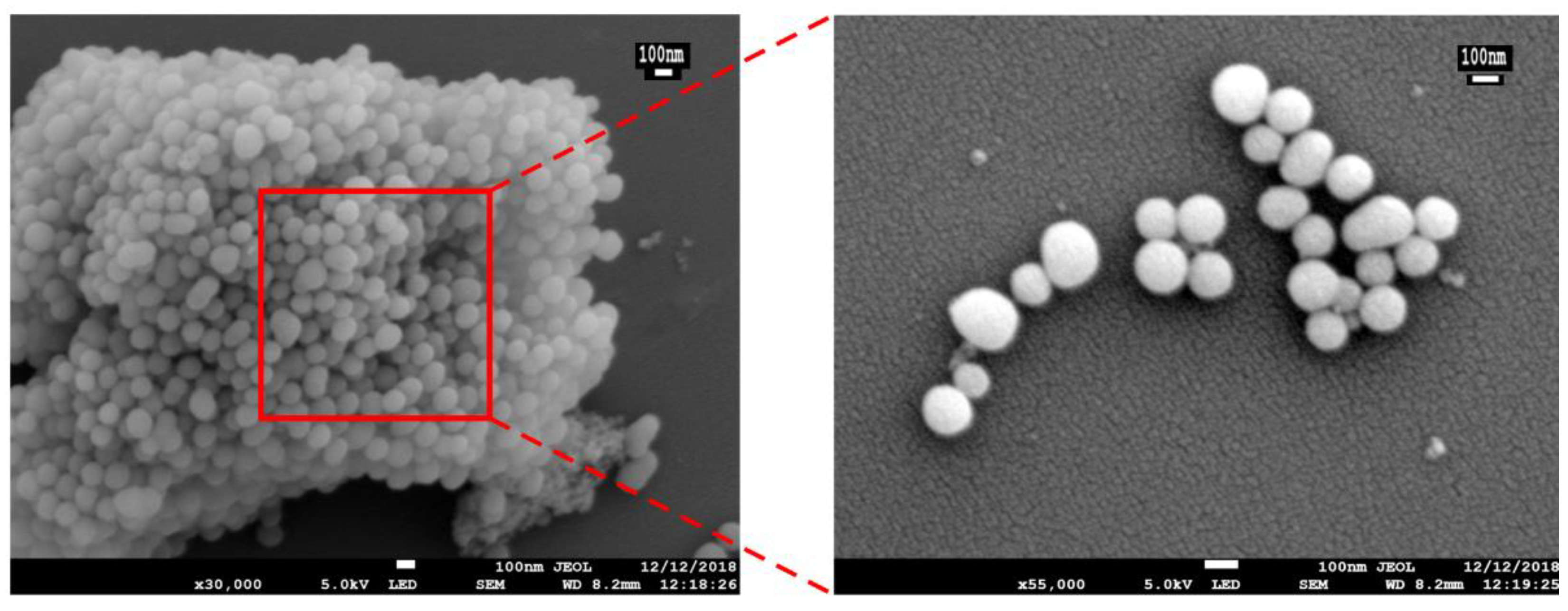 Materials 13 01279 g002 Materials 13 01279 g002