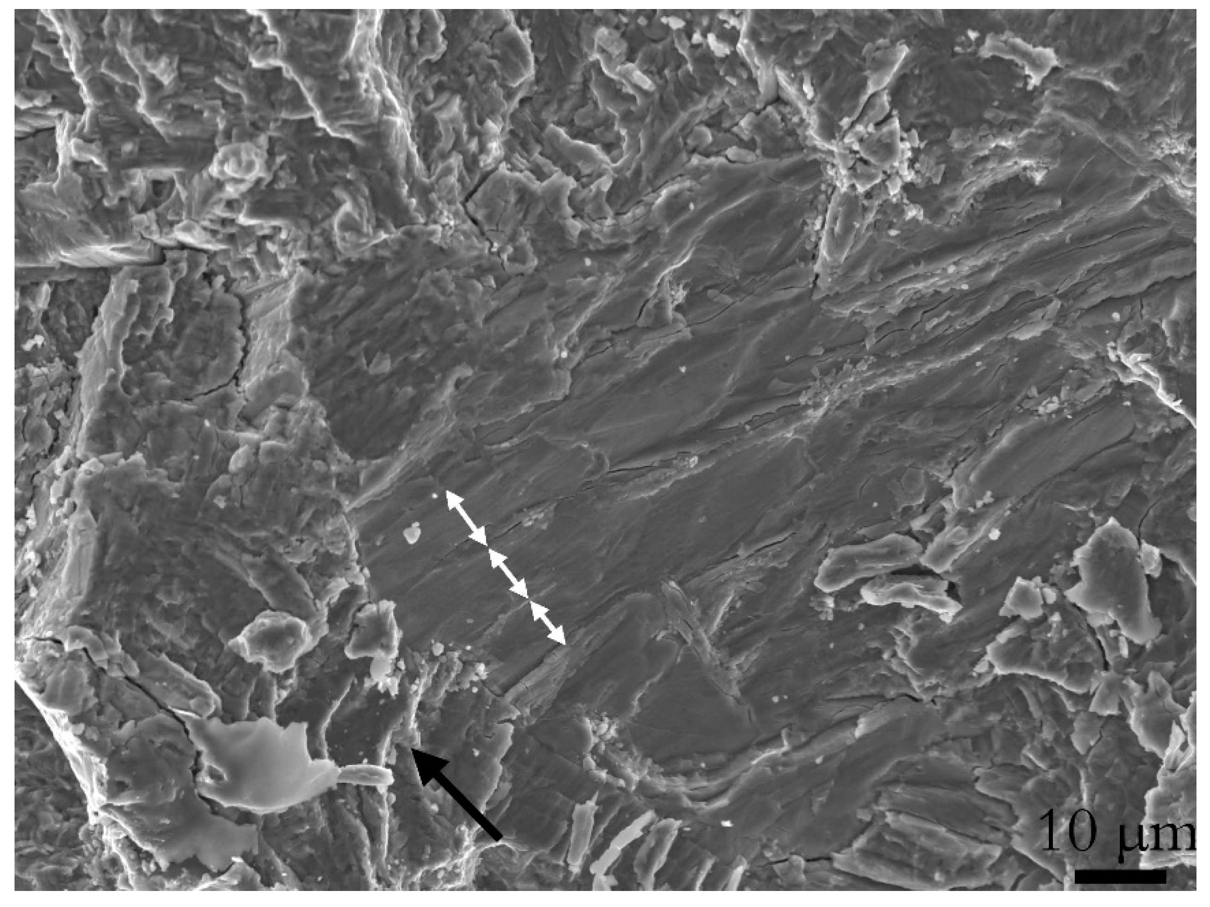 Materials 13 01287 g010 Materials 13 01287 g010