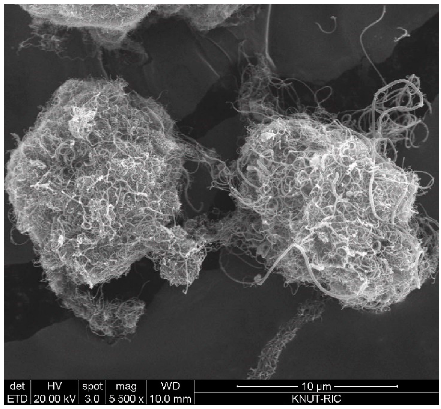 Materials 13 01289 g001 Materials 13 01289 g001